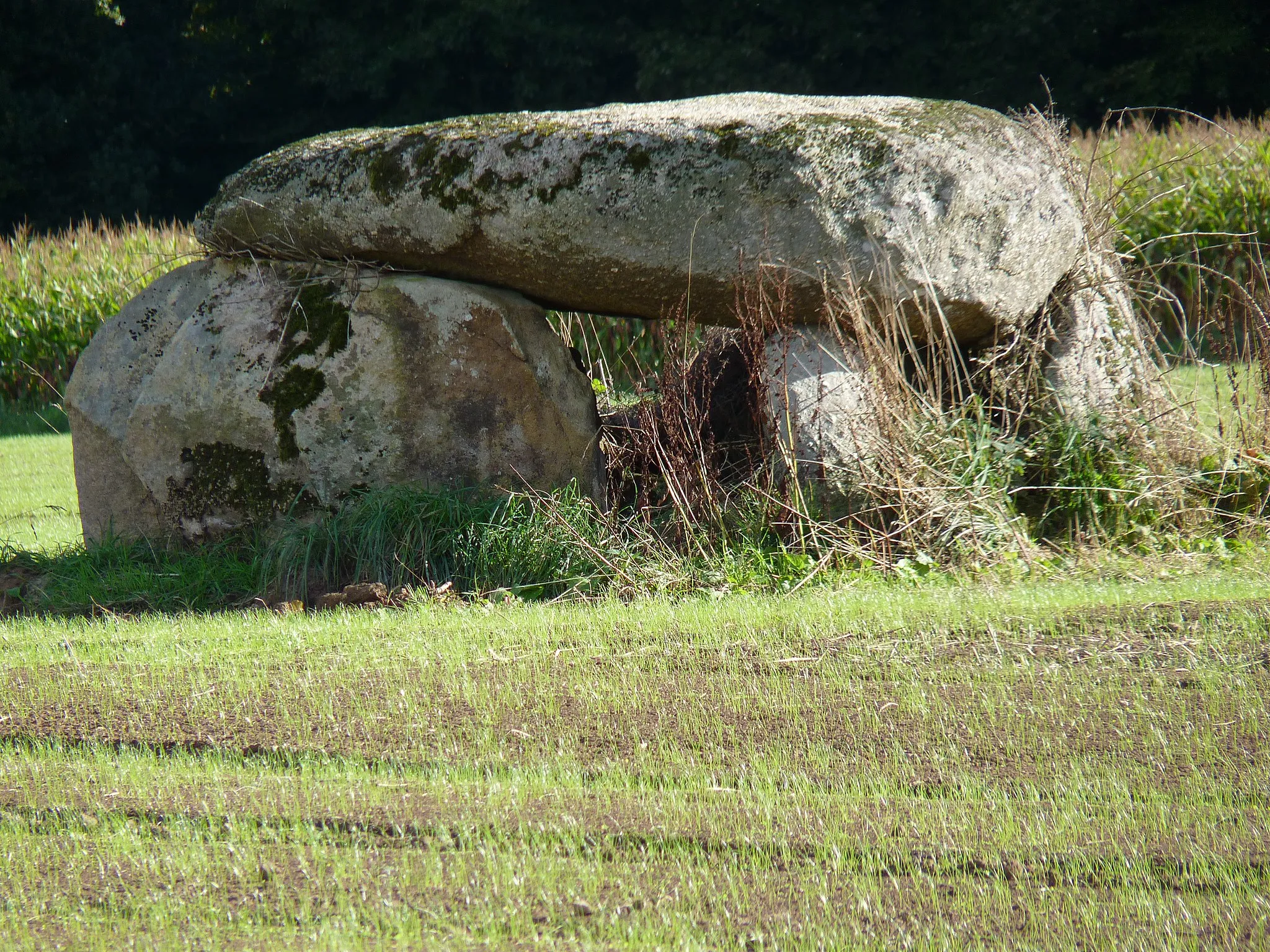 Photo showing: Dolmen situé dans un champ (assez loin du chemin).