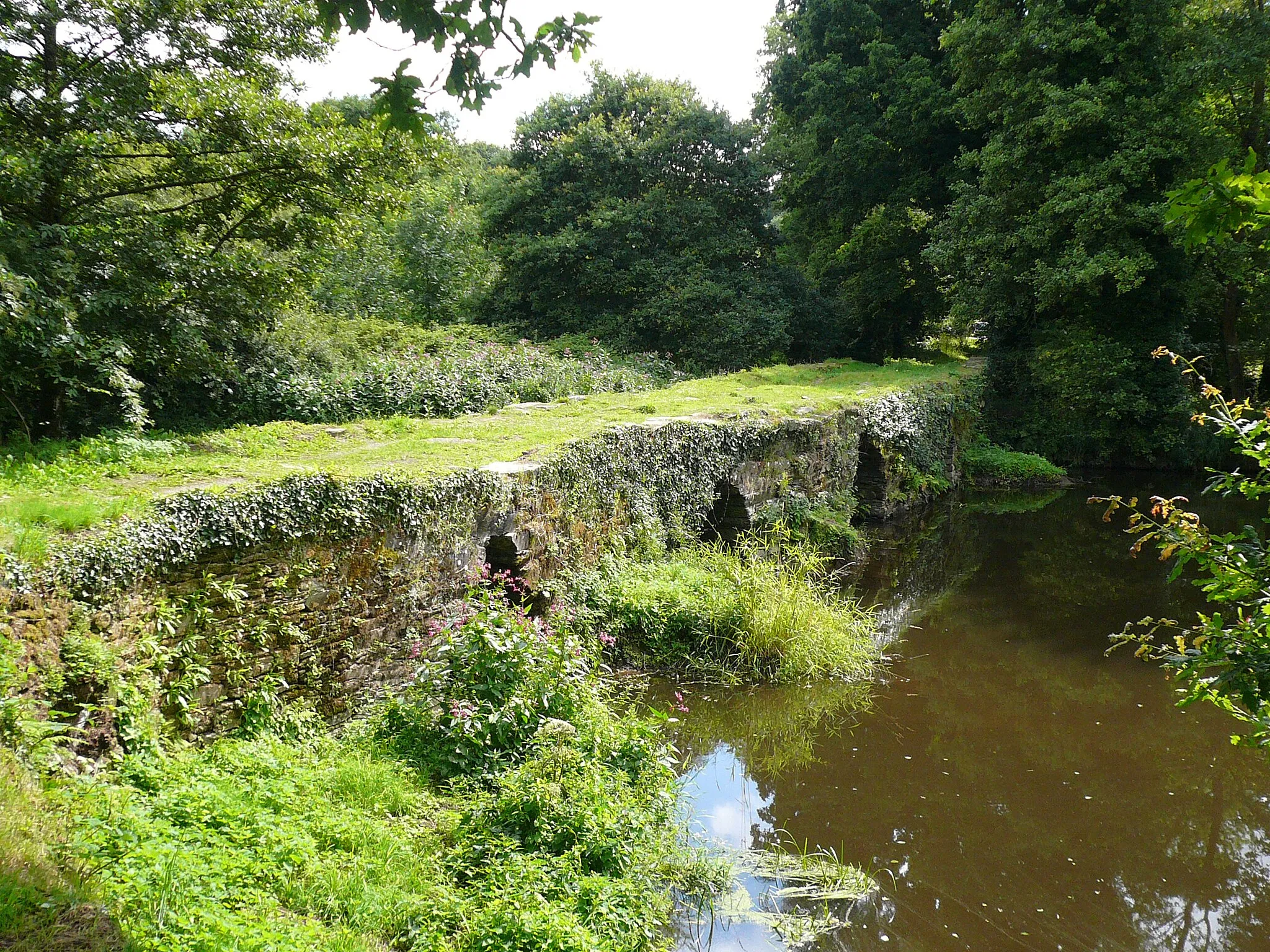 Photo showing: Pont Sainte-Catherine, dit « pont gaulois », à Plounévézel, Finistère, Bretagne, France.