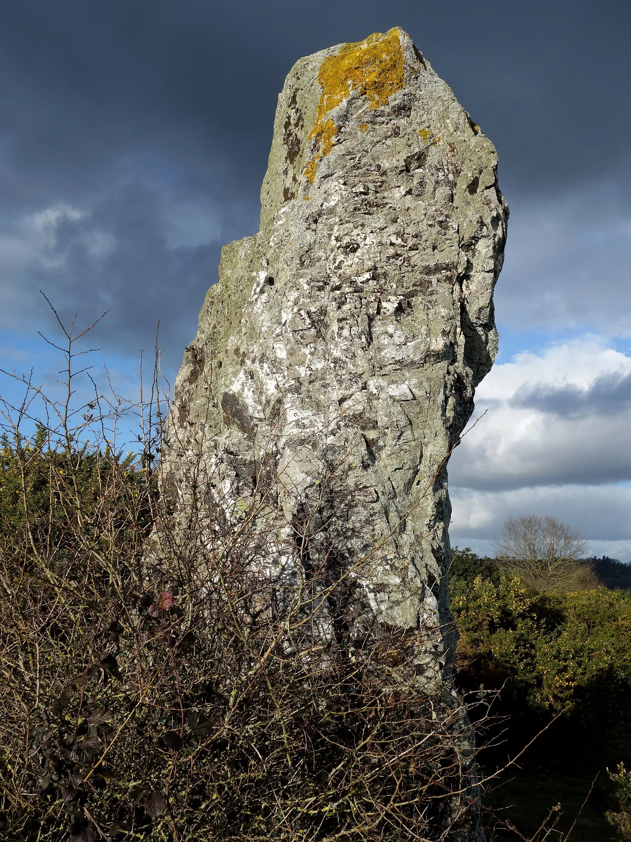 Photo showing: Près du petit village nommée le Châtelier et à un kilomètre du dolmen dit « La Pierre Blanche », on peut voir l'un des plus beau menhir de la région sur la commune de Pléchâtel : le menhir de la « Pierre Longue »…
On le nomme aussi menhir du « Perrain » ou de « Perrin ».
Le menhir de la « Pierre Longue » mesure près de 5 mètres de haut pour une largeur de 2 mètres à la base et a une épaisseur de 1 mètre. On remarque sa forme coudée.
Il est constitué de quartz blanc, recouvert aujourd'hui de mousses et de lichens.

Une légende affirme qu'à la nuit tombée, ce menhir sillonne la lande à la vitesse de l'éclair, épouvante le bétail et bouscule dans les ajoncs les traînards au retour de la foire...