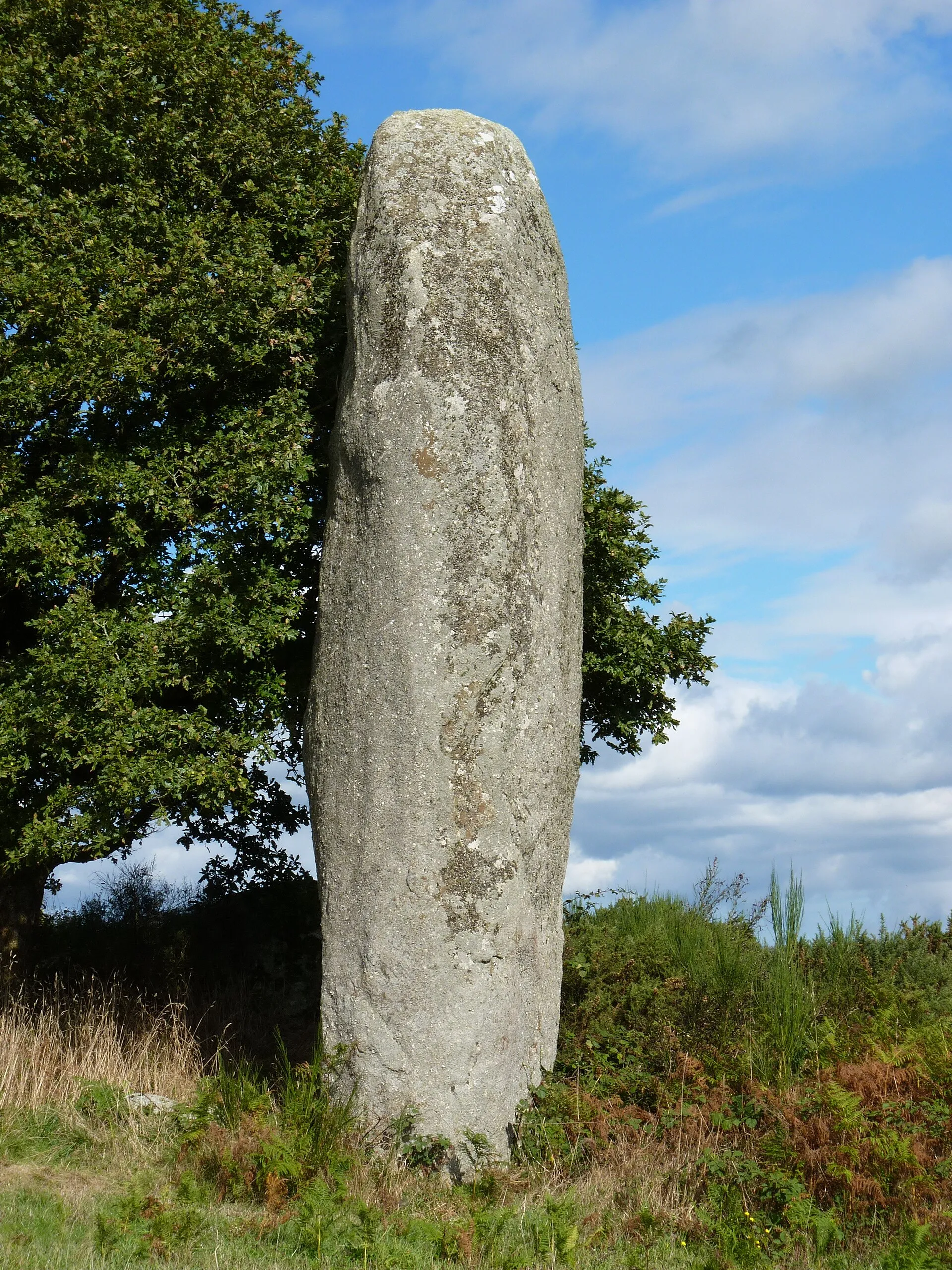 Photo showing: Grand menhir de plus de 7m de haut.