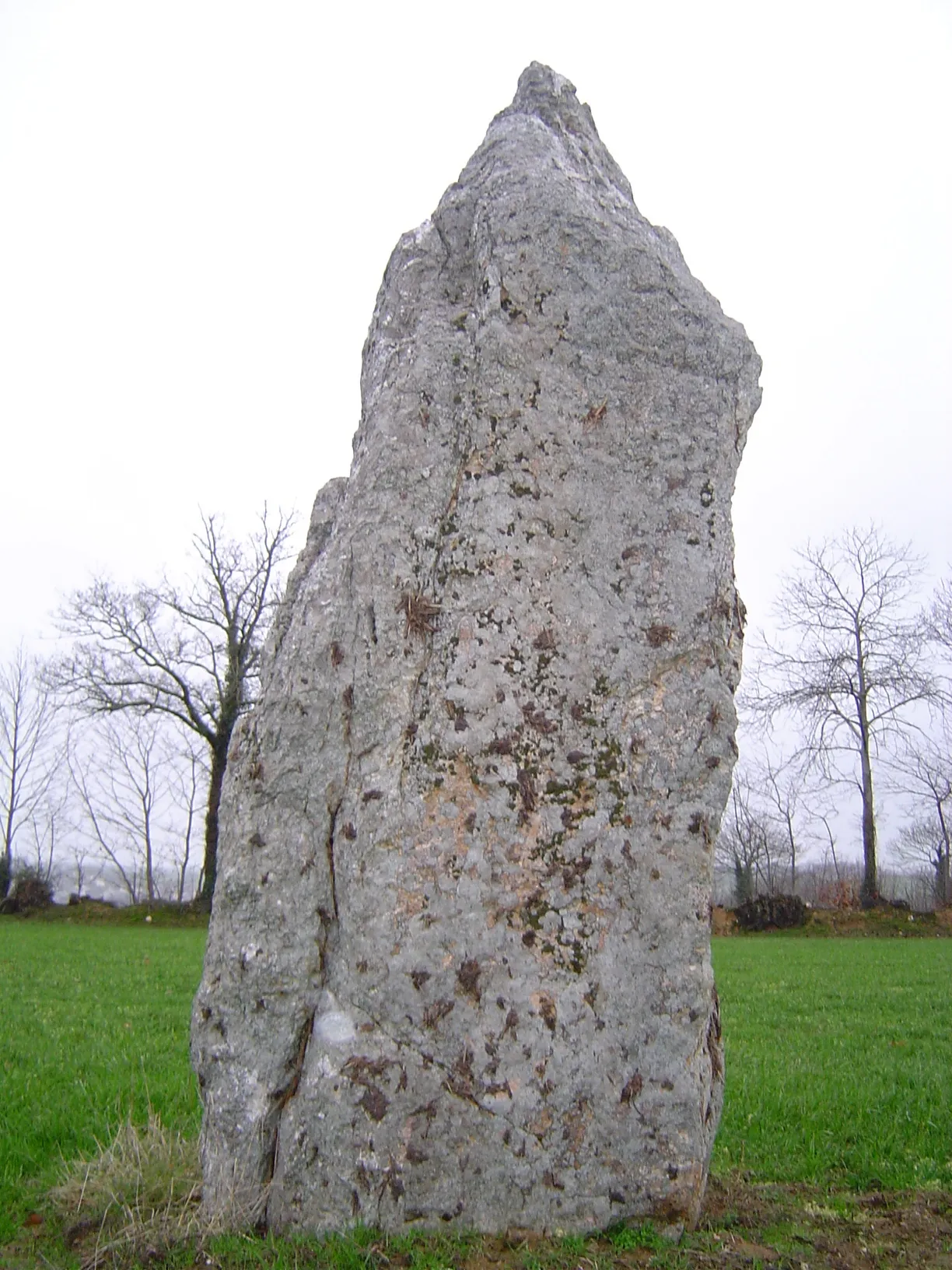 Photo showing: Pocé-les-Bois (Ille-et-Vilaine, Bretagne, France) : La Pierre Blanche menhir.