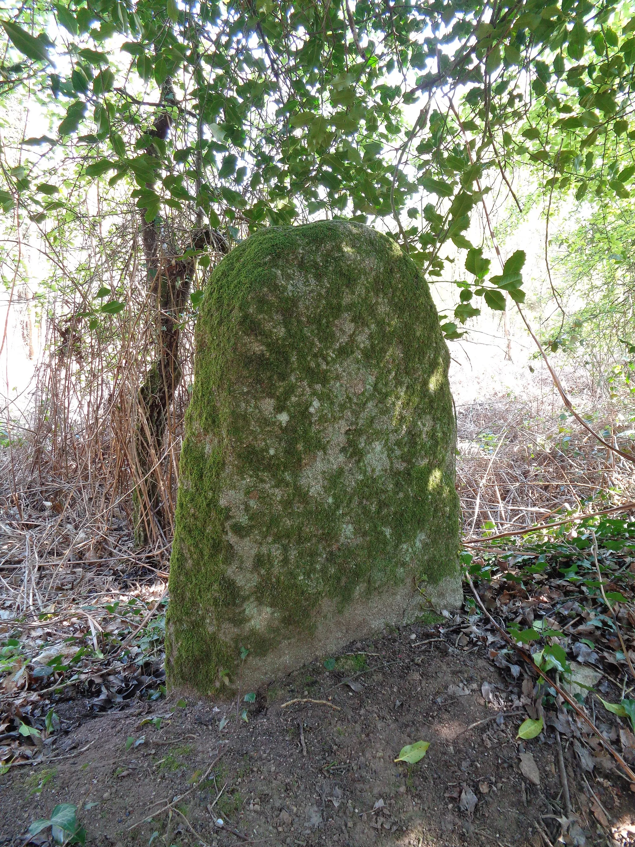 Photo showing: Borne monolithique, chemin des 7 bornes, Brusvily (Côtes d'armor)