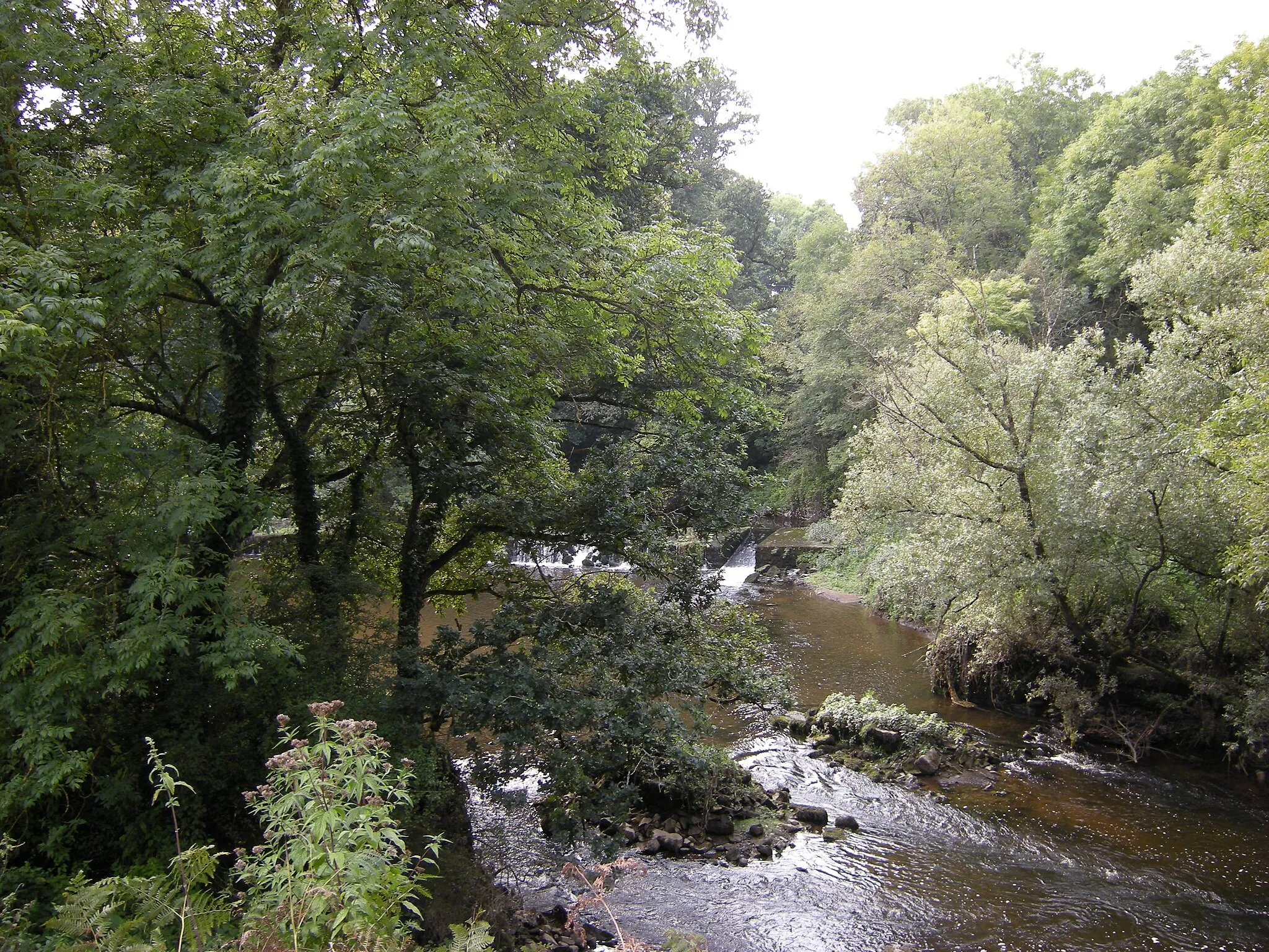 Photo showing: Leff river, in Quemper-Guézennec, Britanny, Côtes-d'Armor, France