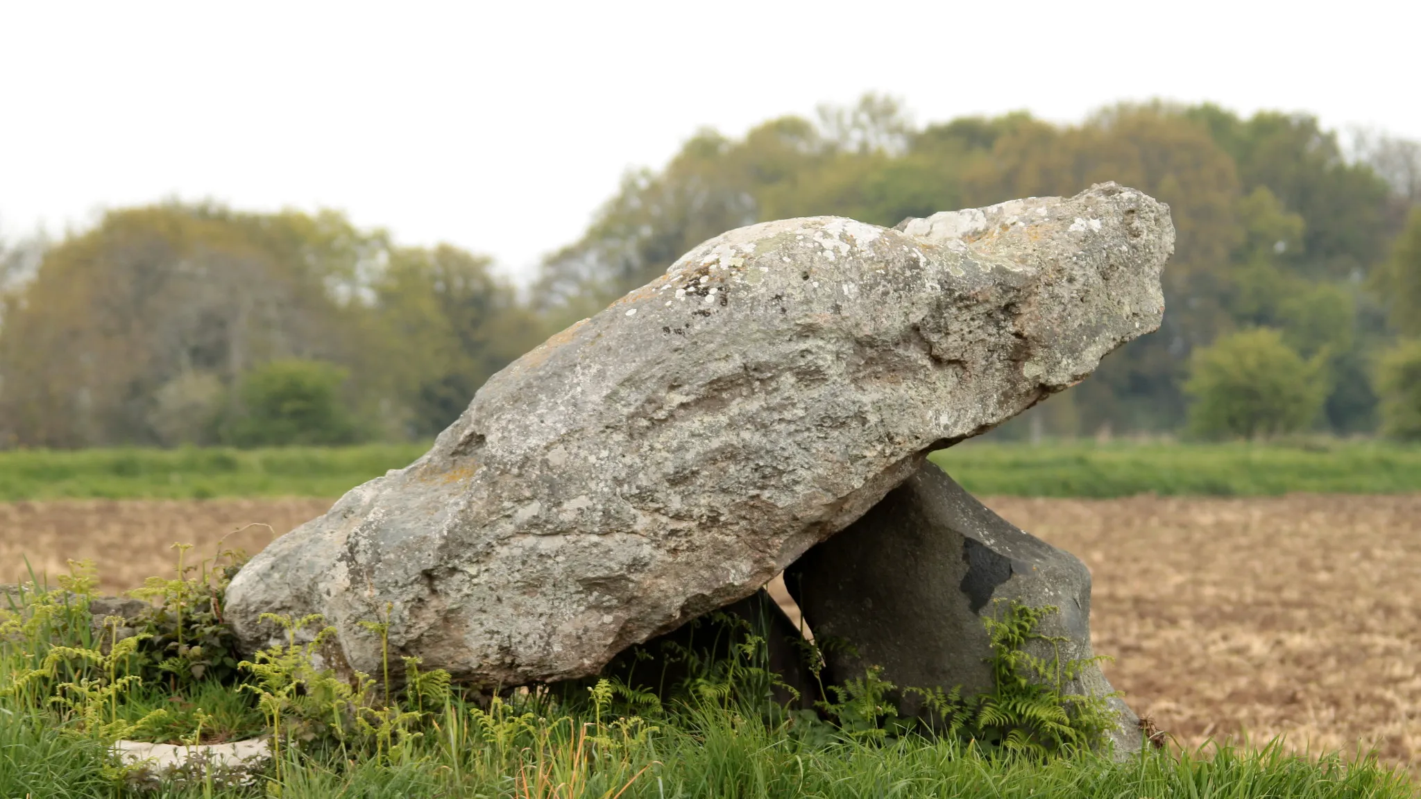 Photo showing: 500px provided description: A dolmen, also known as a portal tomb, portal grave or quoit, is a type of single-chamber megalithic tomb, usually consisting of two or more upright stones supporting a large flat horizontal capstone (table), although there are also more complex variants. Most date from the early Neolithic period (4000 to 3000 BC). Dolmens were typically covered with earth or smaller stones to form a barrow. In many instances, that covering has weathered away, leaving only the stone "skeleton" of the burial mound intact.

[source Wikipedia] [#dolmen ,#Canon EOS 500D ,#Brittany ,#OliBac ,#MMxIV]