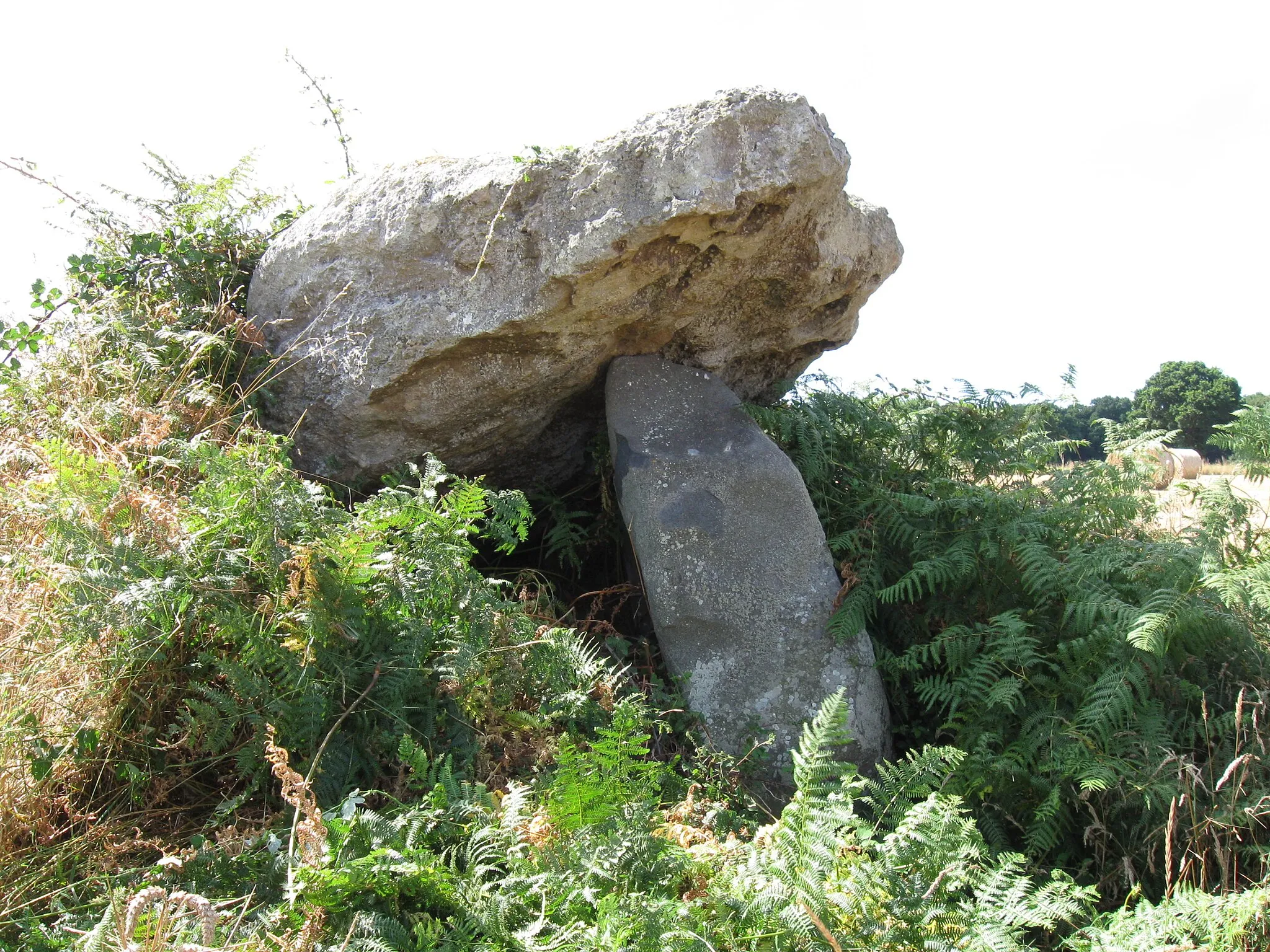 Photo showing: Dolmen dit de la Ville-Tinguy.  (commune de Trégon, département des Côtes-d'Armor, région Bretagne).