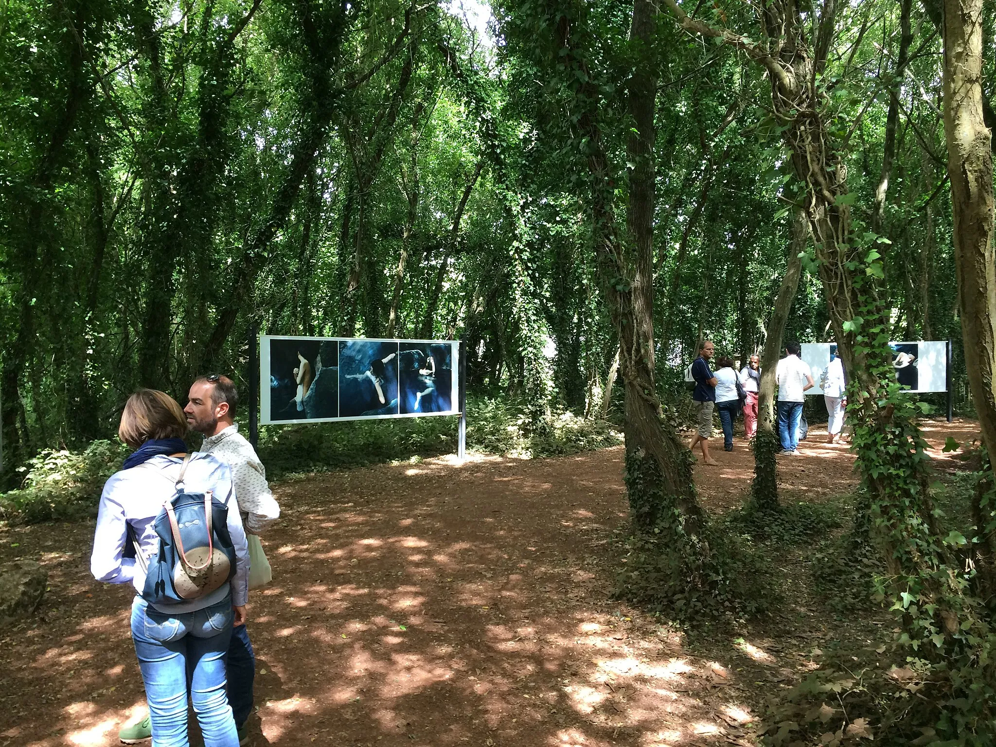 Photo showing: Autour du Festival de photographie de La Gacilly (Morbihan, Bretagne) en août 2016,  photos de Reyboz dans le petit bois à coté de la commune entre la rivière de l'Aff et la rue du clos Serot