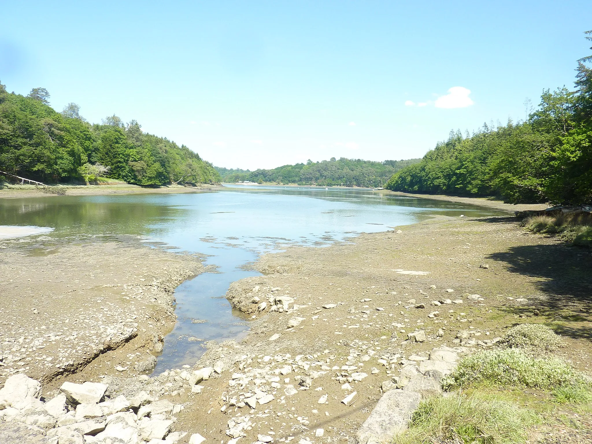 Photo showing: Landévennec et Argol : l'anse de Moulin Mer (anse annexe de l'Aulne maritime) à marée basse