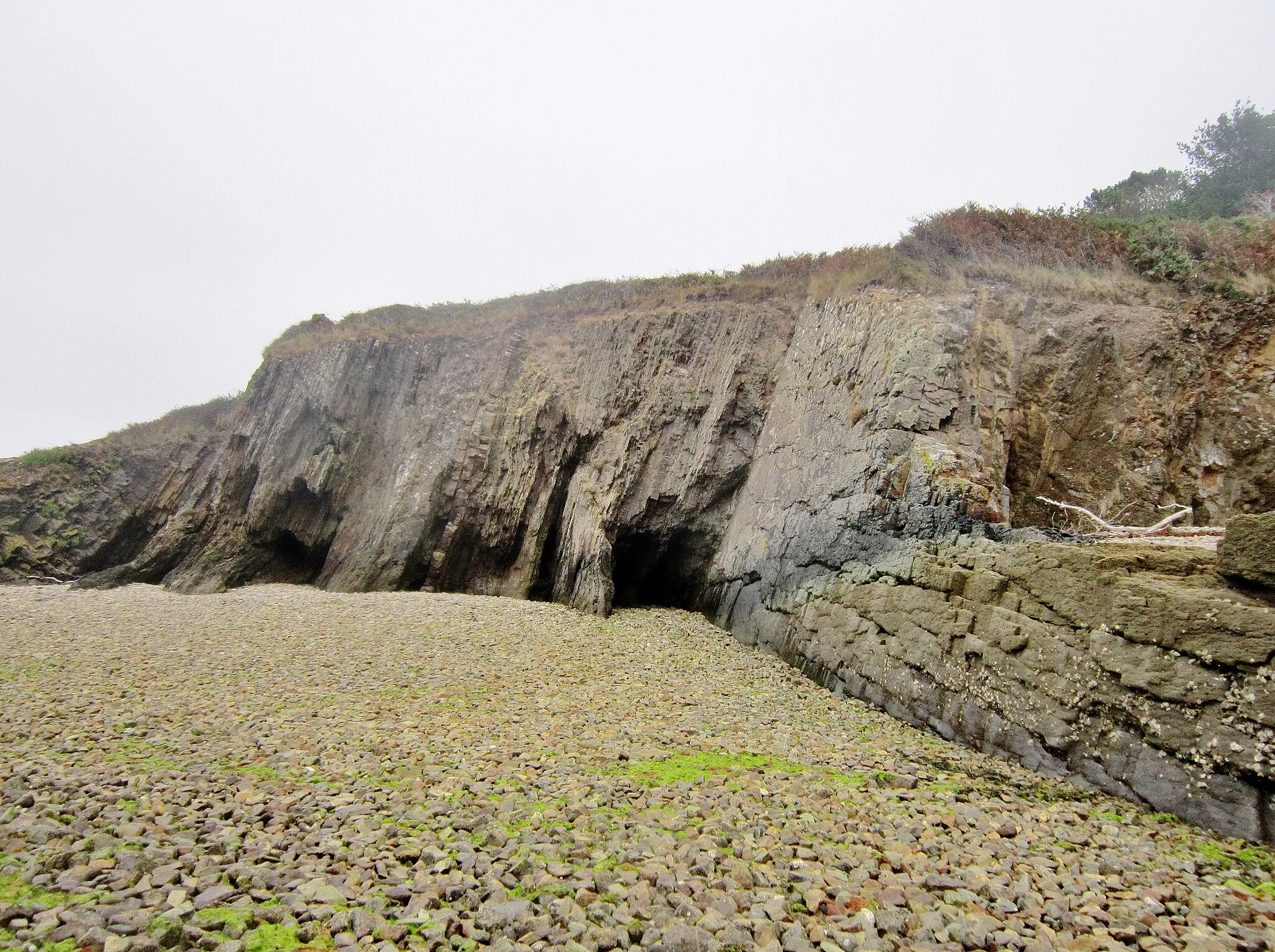 Photo showing: Falaises de l'enclave d'Argol (littoral sud de la Rade de Brest) : roches redressées à la verticale.