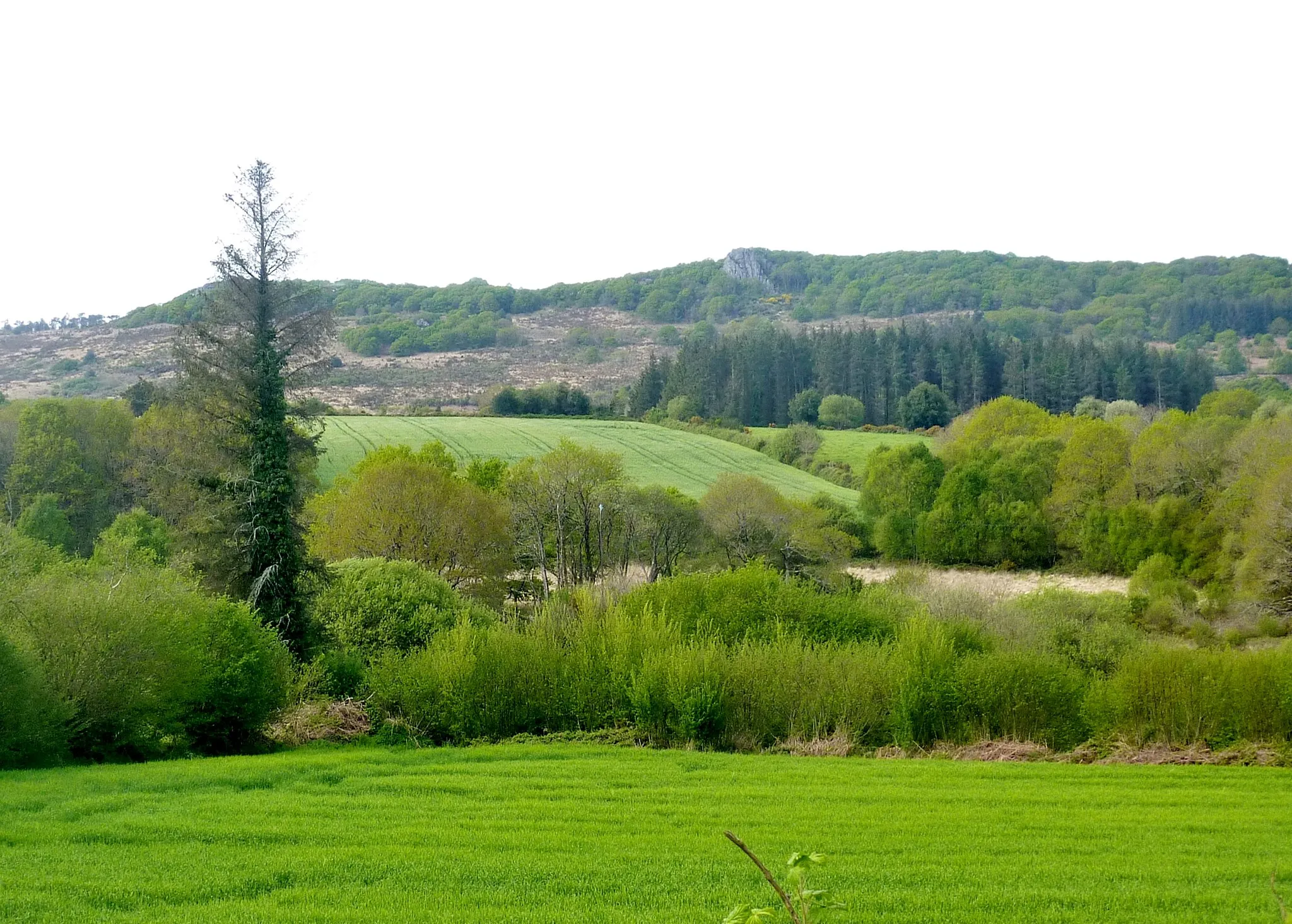 Photo showing: Les "Landes du Cragou" vues du sud, depuis les environs de Kermartin en Berrien