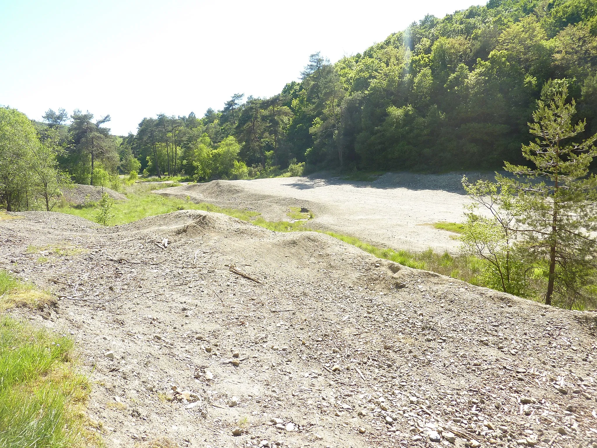 Photo showing: Le terril de l'ancienne mine d'argent et de plomb.