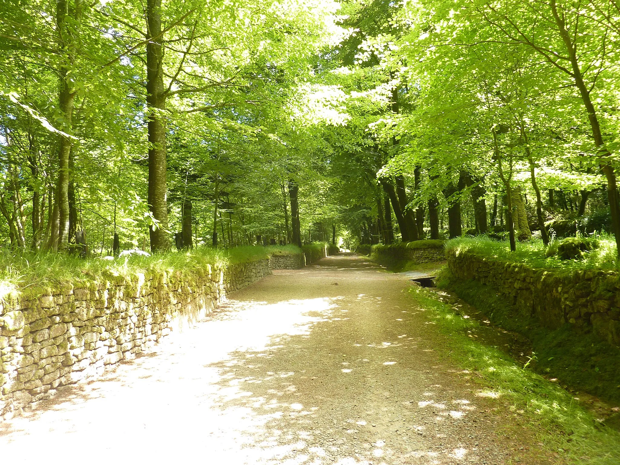 Photo showing: Allée principale menant au manoir de Penhoat en Plounéour-Ménez.