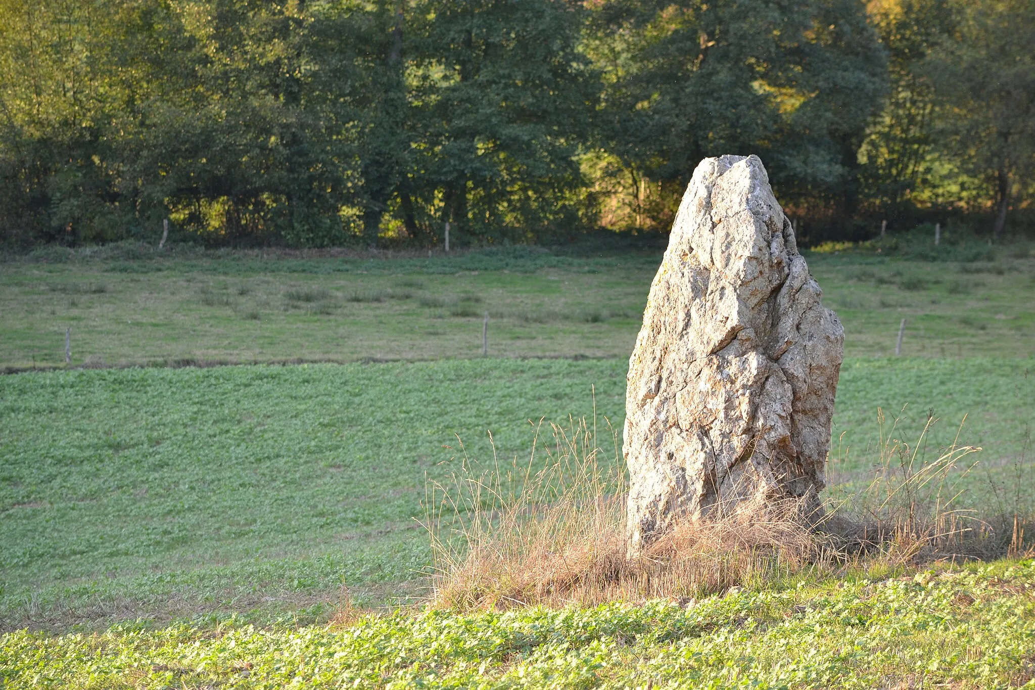 Photo showing: Menhir du Bodel à Caro  (56).