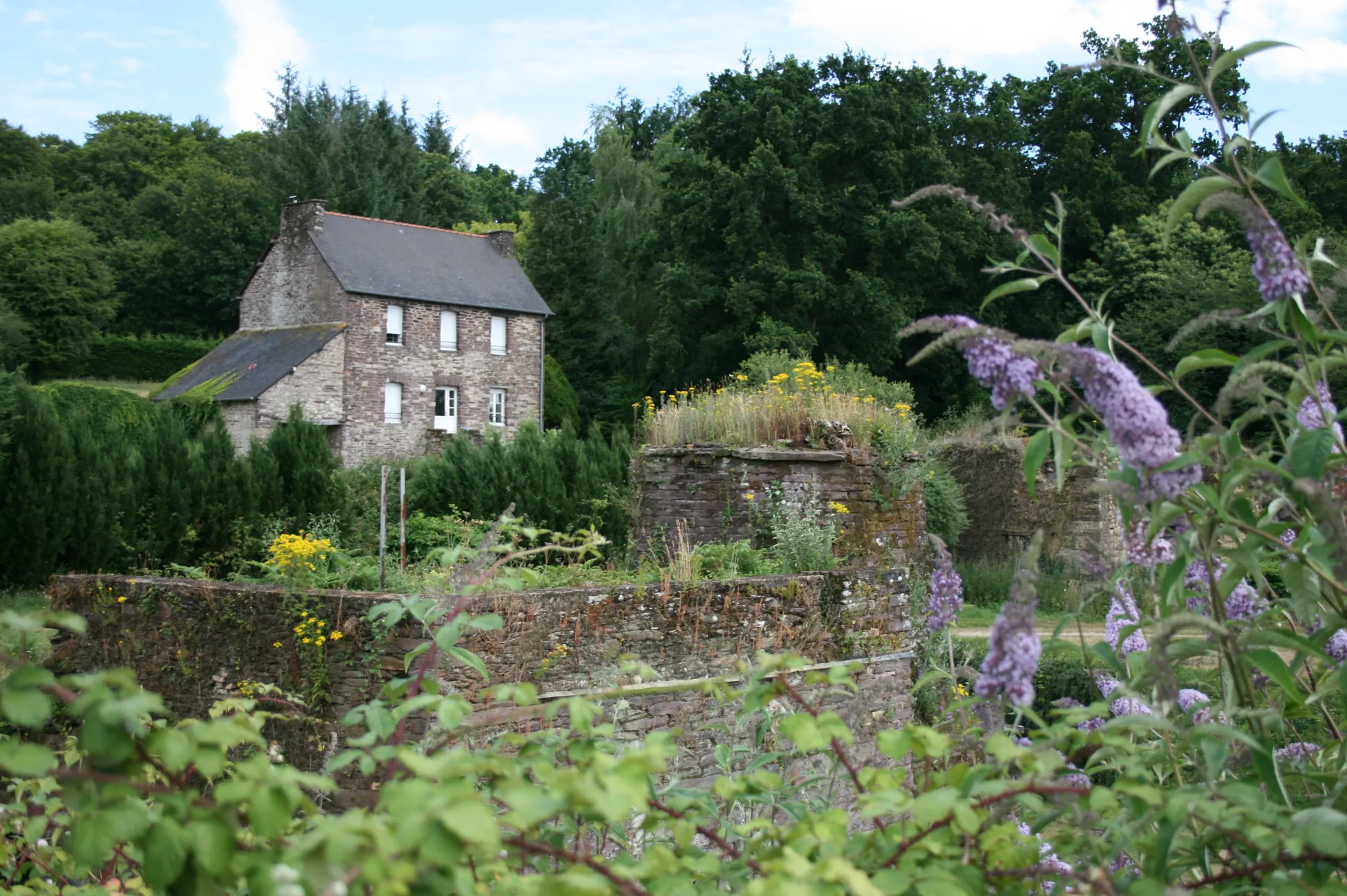 Photo showing: Environnement des Forges