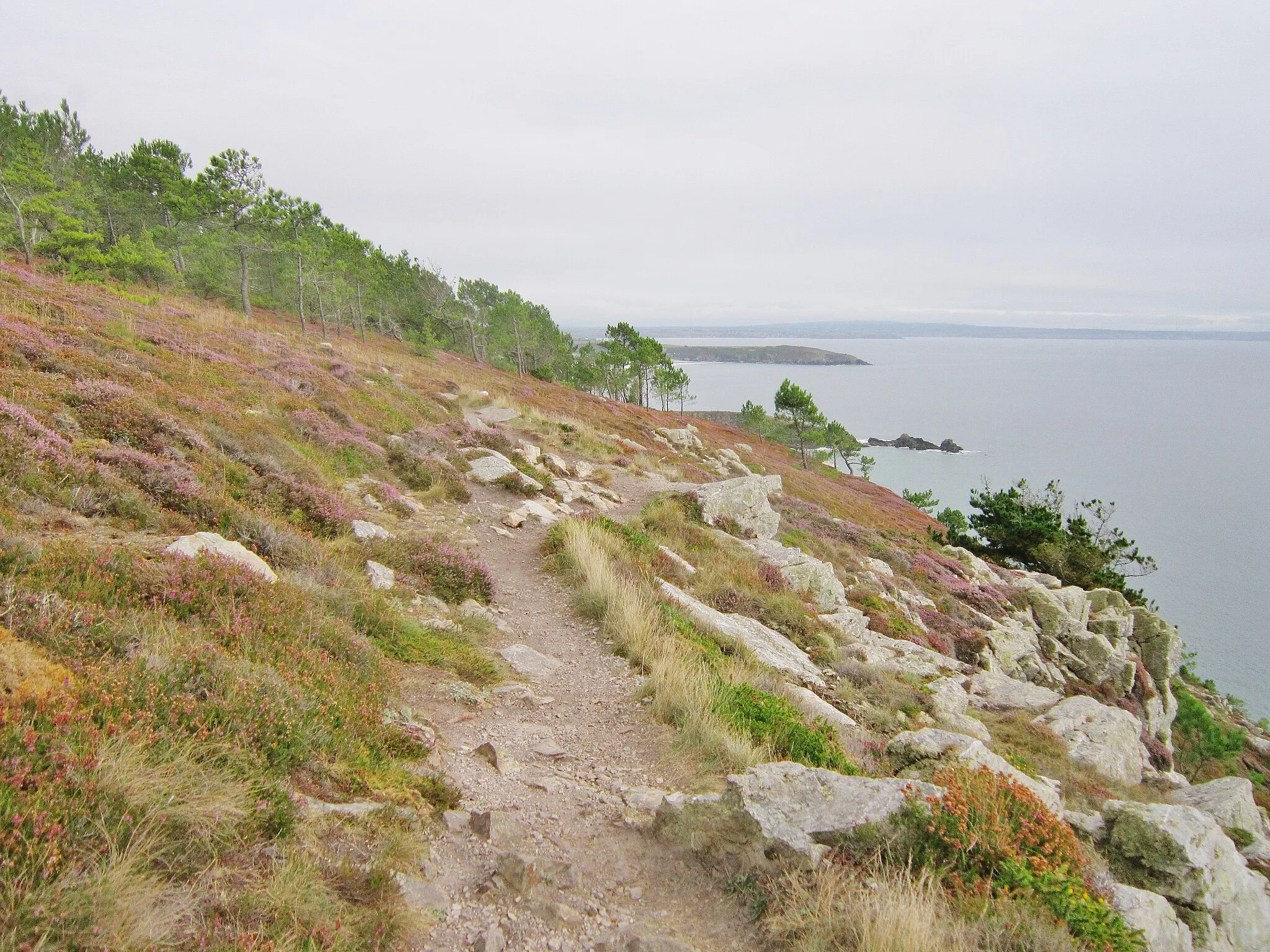 Photo showing: Crozon : les falaises du Guern (le GR 34 traversant les affleurements de grès armoricain et la lande fleurie); à l'arrière-plan la pointe de Pen-ar-Vir en Telgruc-sur-Mer).