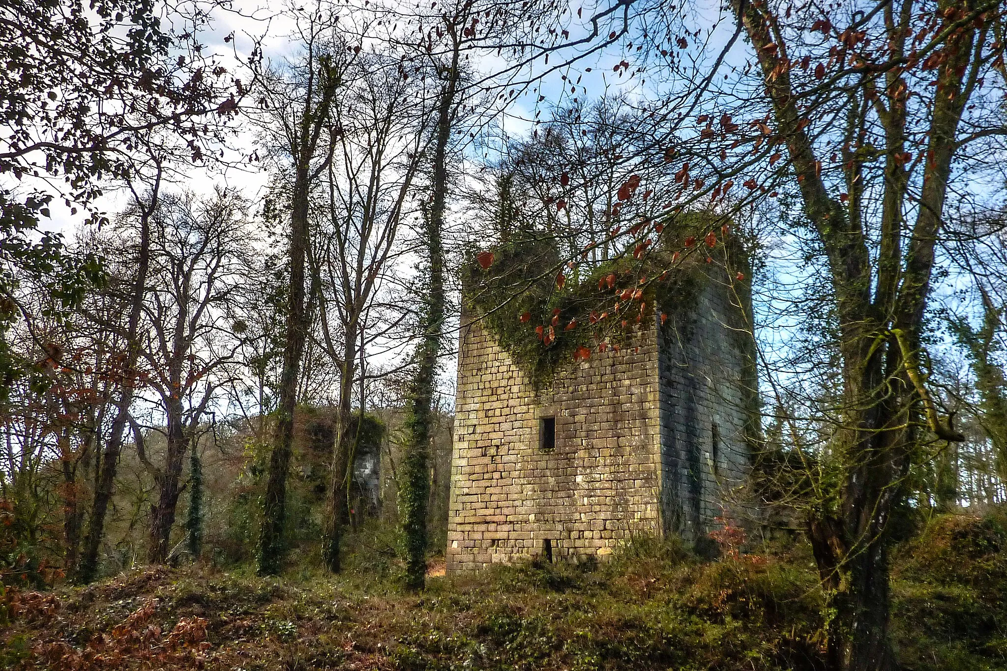 Photo showing: Le donjon du château de La Roche-Montbourcher (Cuguen, 35)