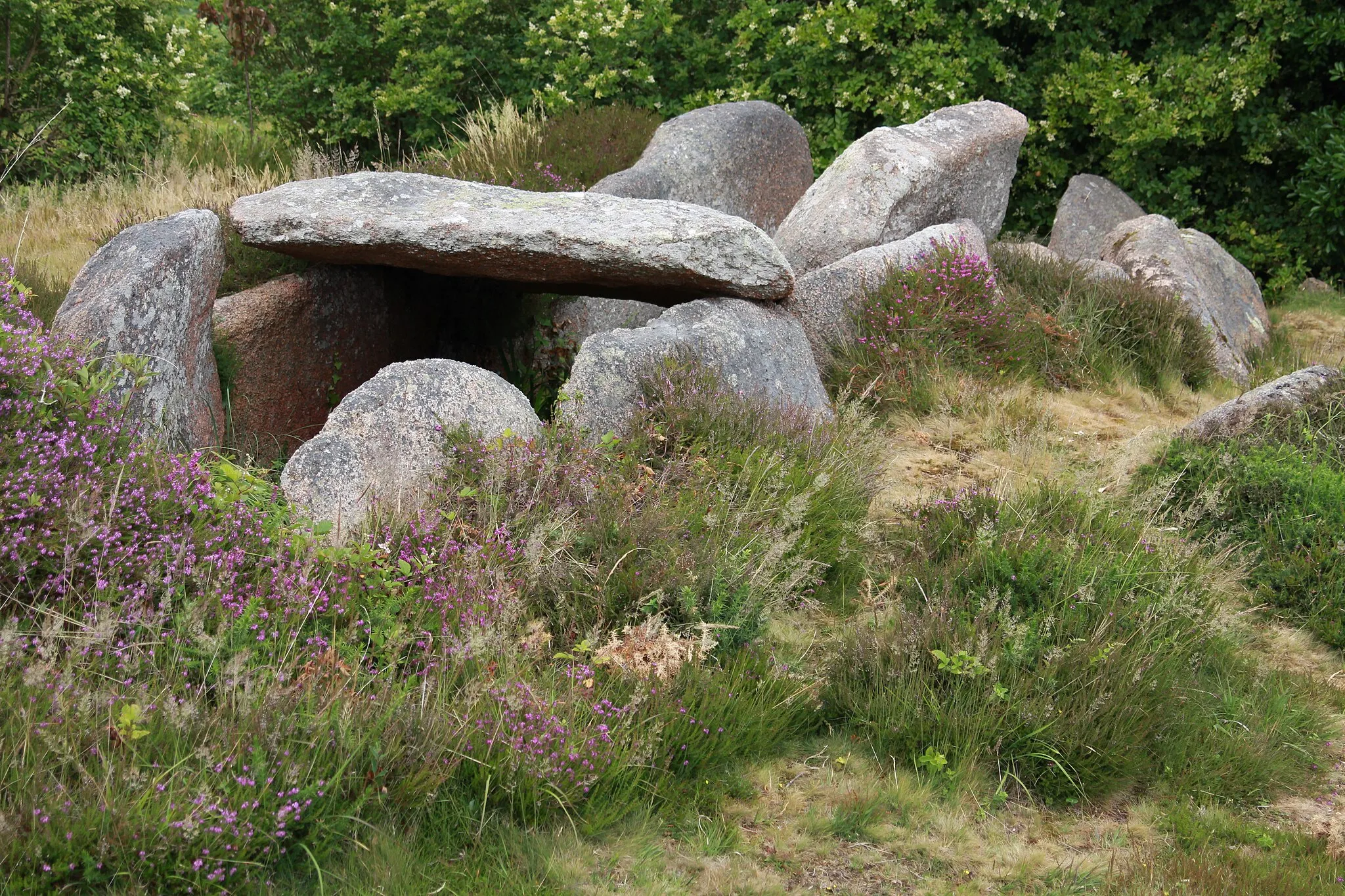 Photo showing: Comme on peut le voir sur la photo, il s'agit d'une allée couverte en ruine dénommée 'dolmen' dans le classement MH
Elle est située sur un terrain privé avec une servitude d'accès, à Trégastel, Côtes d'Armor