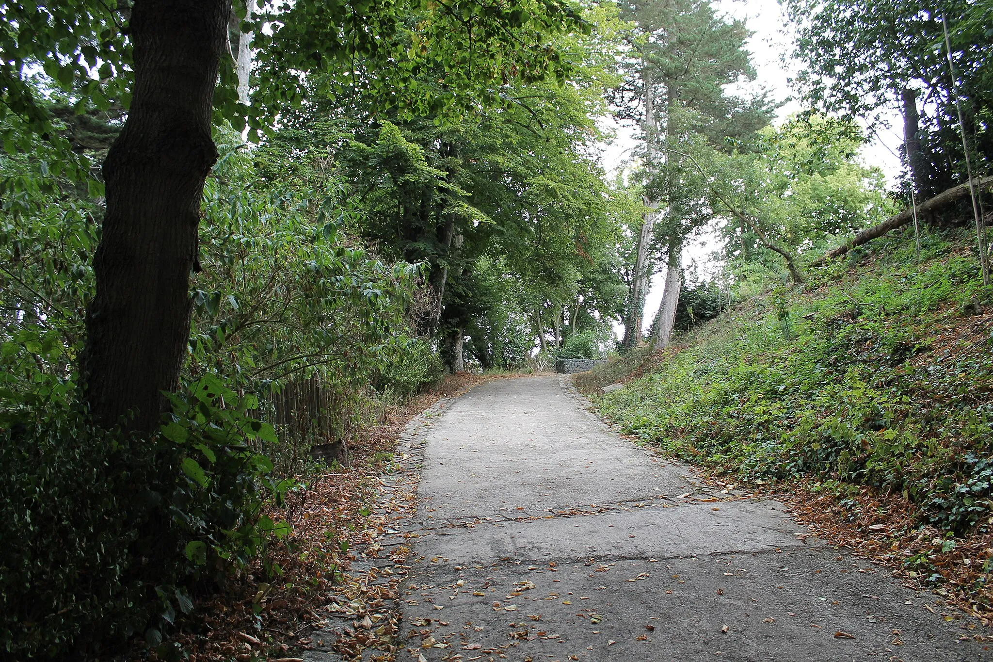 Photo showing: Parc Rohannec'h