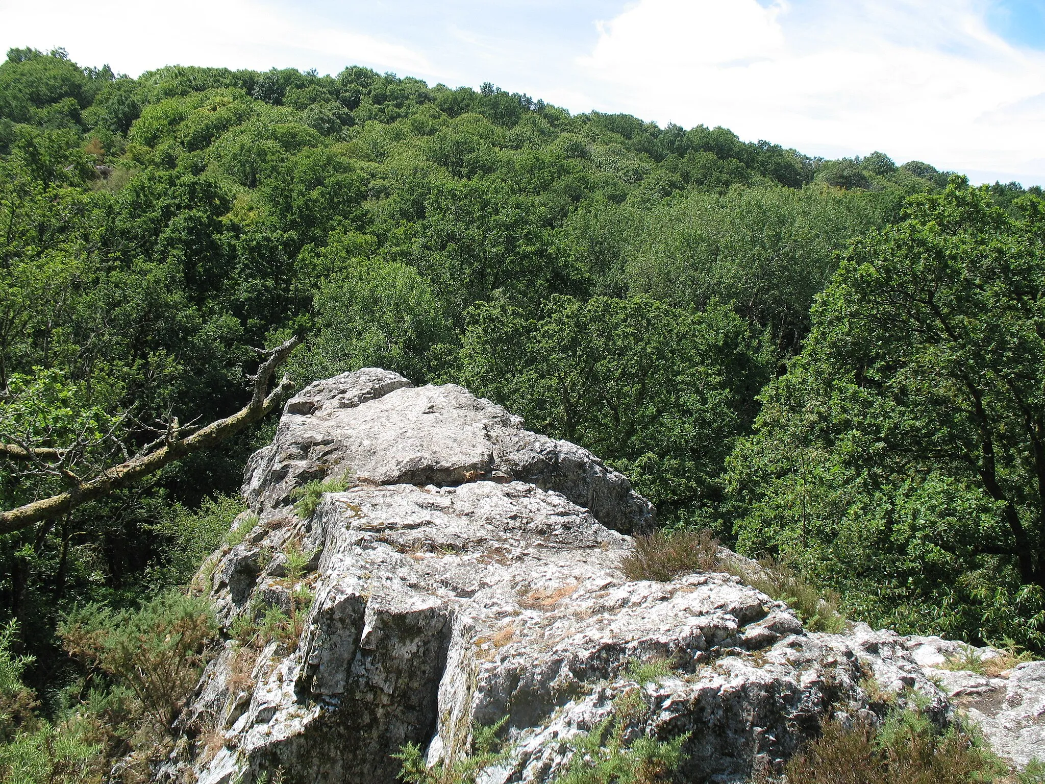 Photo showing: Les falaises de Saut Roland à Dompierre-du-Chemin. Espace naturel départemental et site officiel d’escalade.