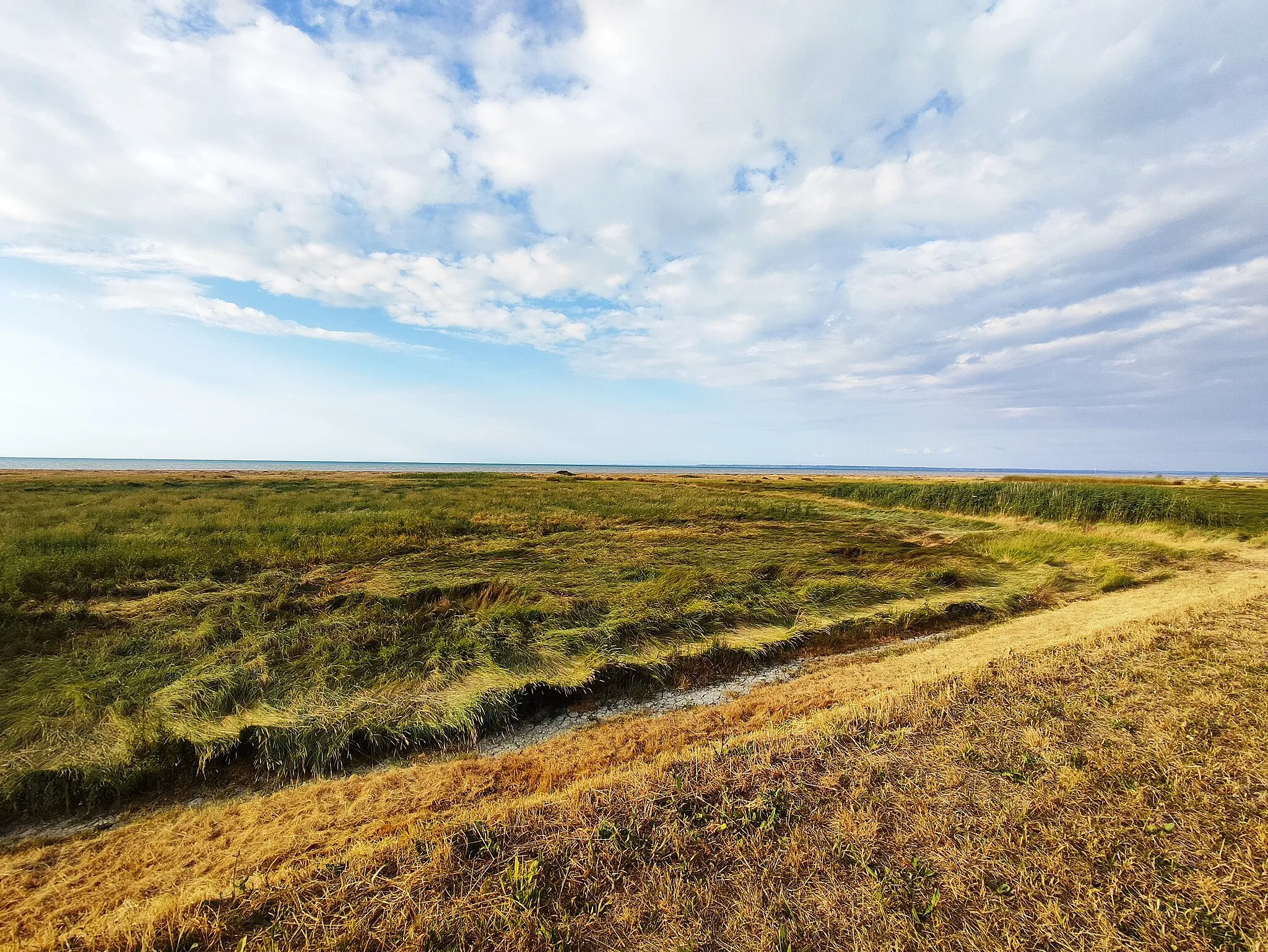 Photo showing: Photographie d'un pré-salé prise à partir du GR34 au niveau de la commune de Cherrueix, au fond de la baie du Mont Saint Michel