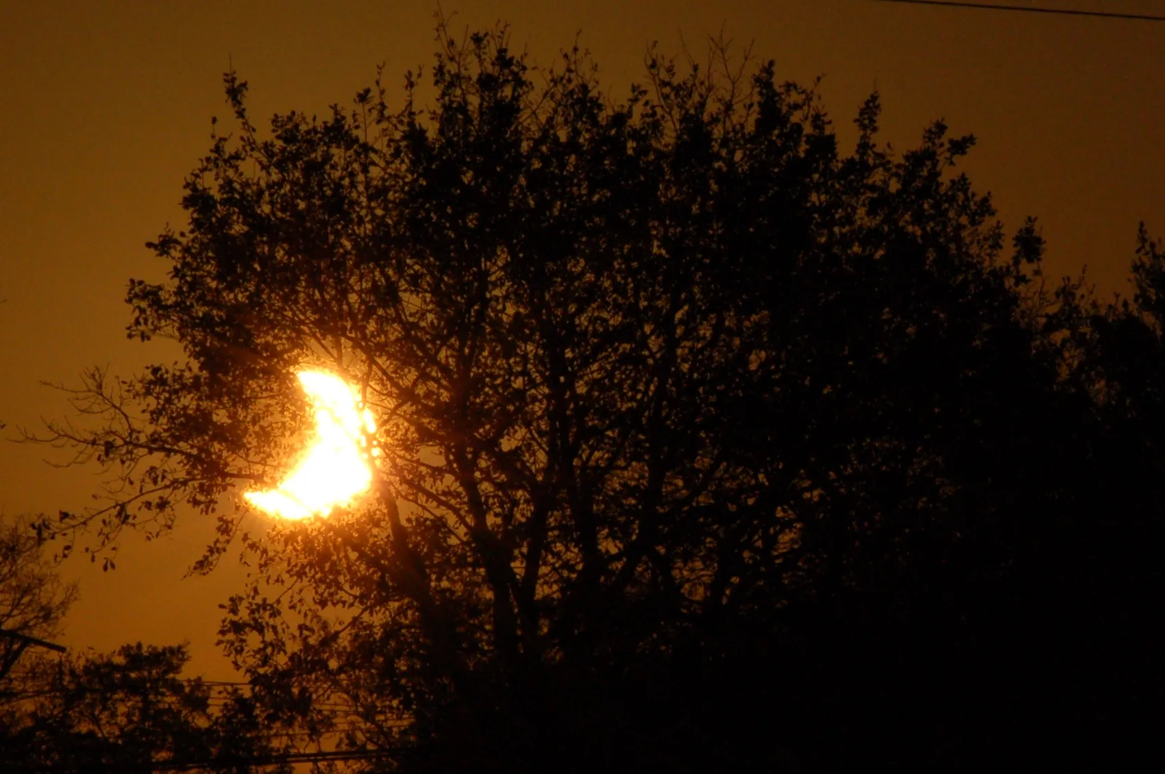 Photo showing: 2011 01 04, from britanny, france at sunrise.