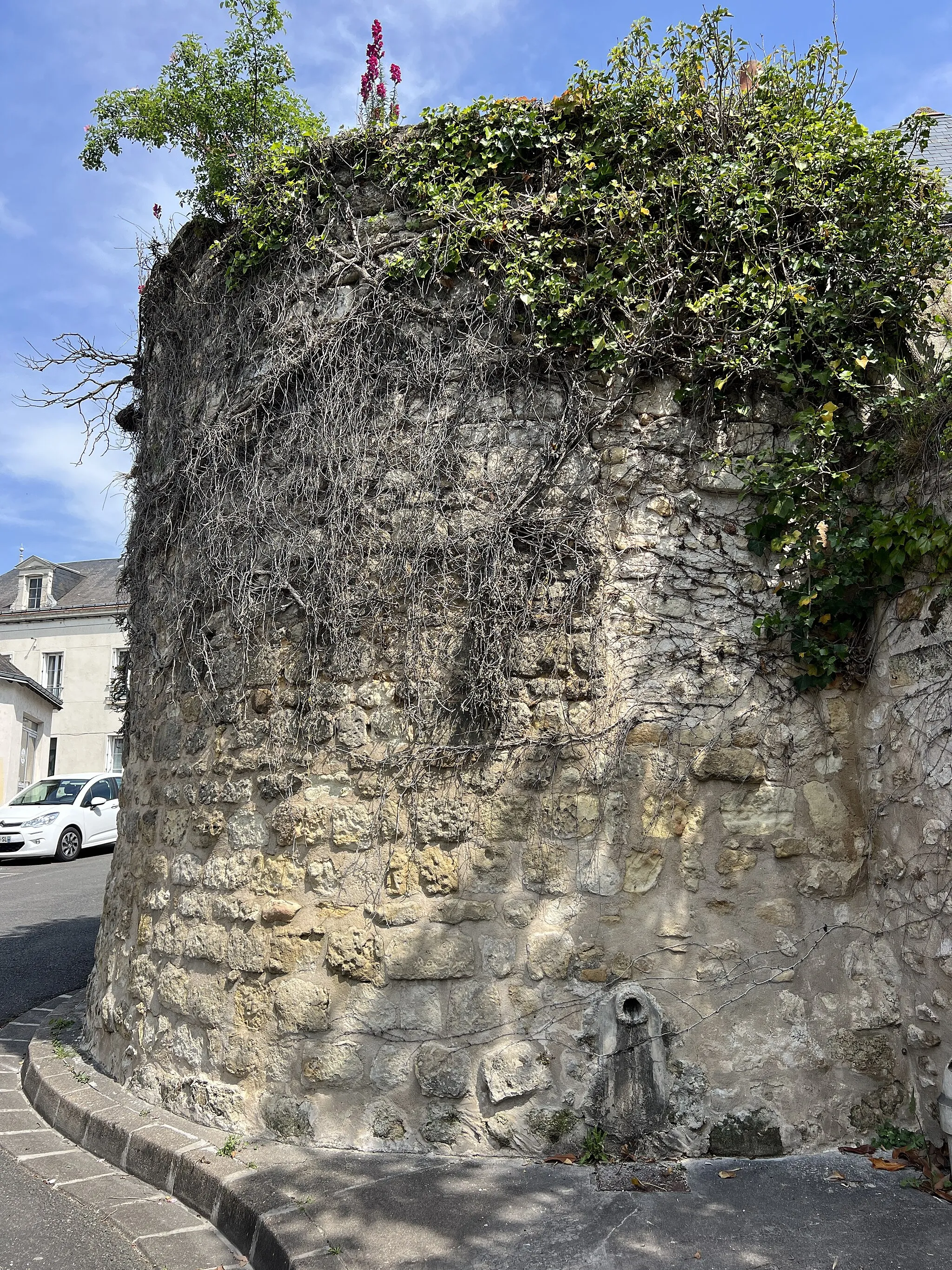 Photo showing: Tour médiévale d'Azay-le-Rideau.