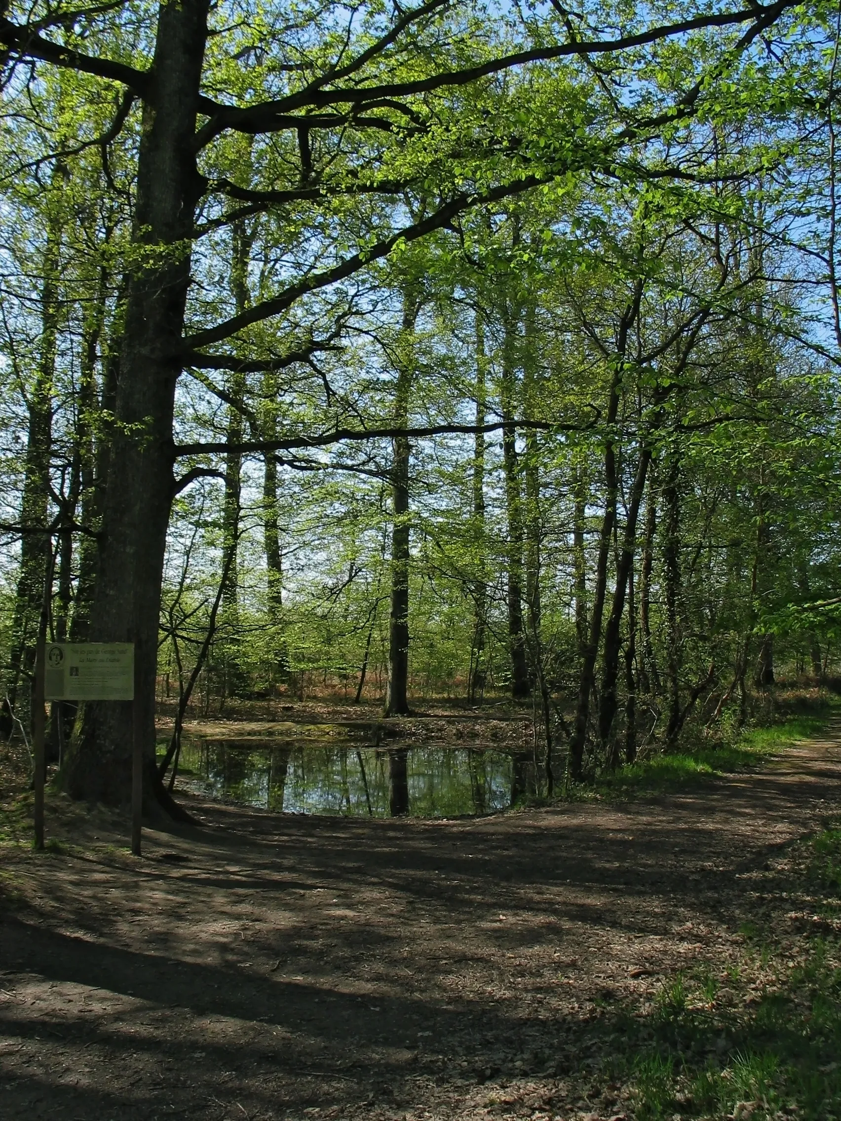 Photo showing: Le site de La Mare au Diable, dans le bois de Chanteloube, où se déroule un épisode du roman éponyme (1846) de George Sand. Mers-sur-Indre, Indre, (France).