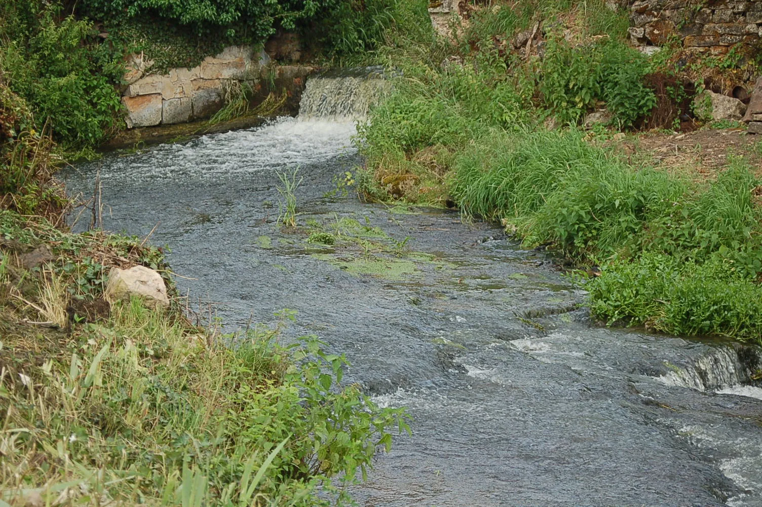 Photo showing: The Chignon (beck)