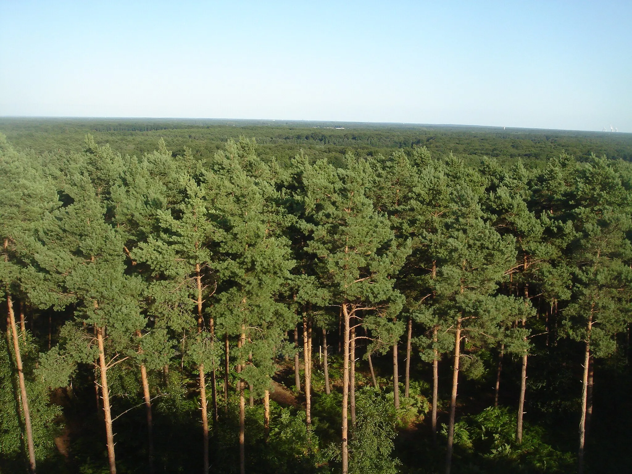 Photo showing: La forêt d'Orléans depuis l'observatoire des Caillettes, Nibelle, Loiret, France