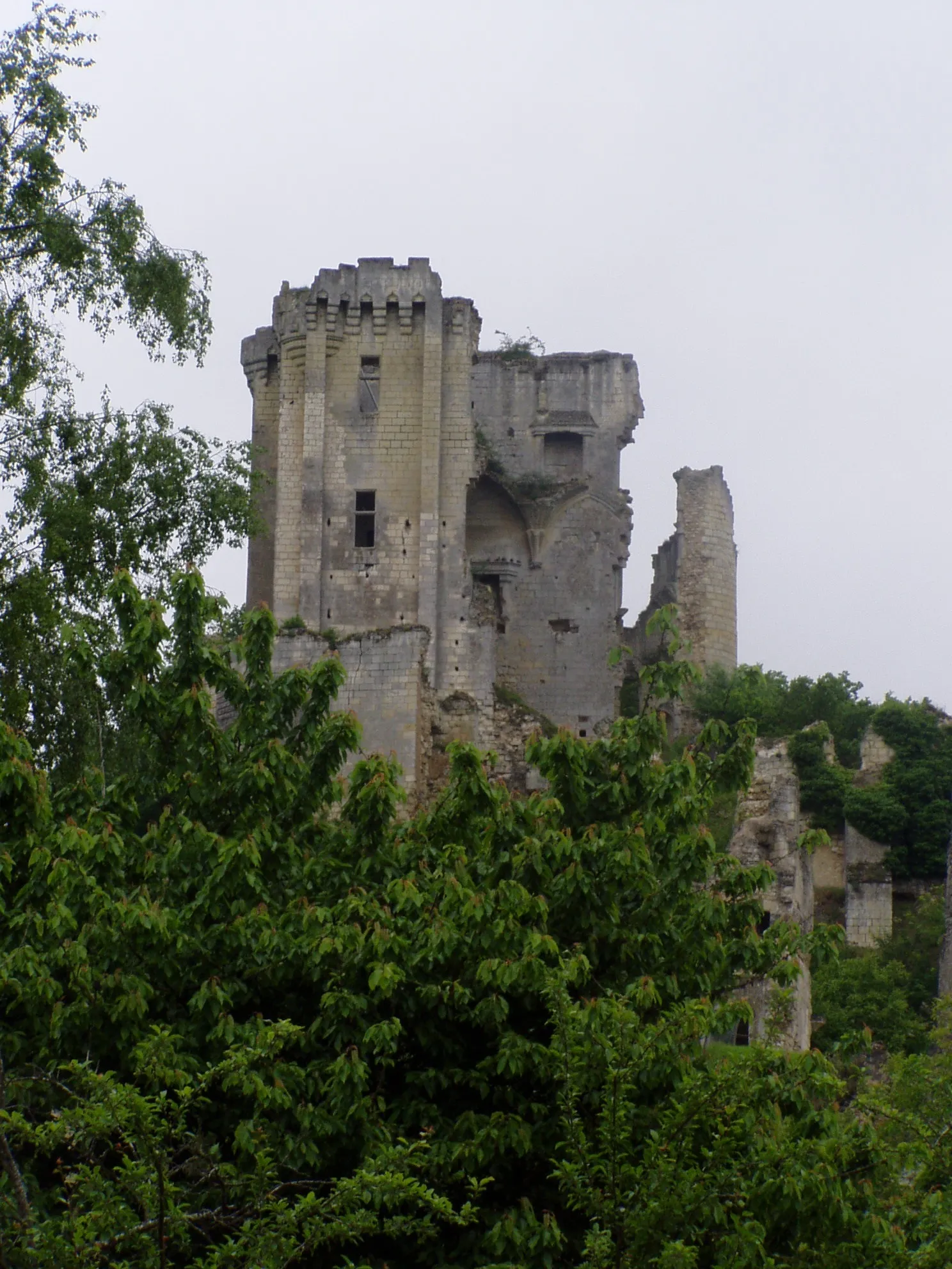 Photo showing: Photographie du château de Lavardin prise de la Rotte aux biques (route aux chèvres) le 25 mai 2006 par Accrochoc