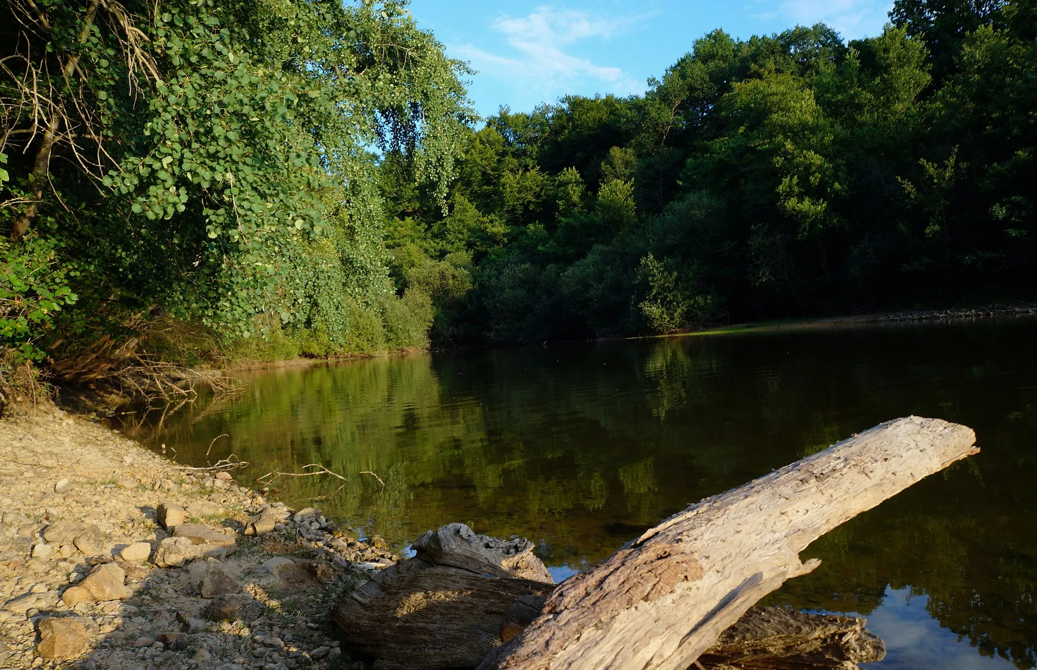 Photo showing: L'un des grands étangs de la Forêt de Tronçais. En été, les touristes et baigneurs peuvent venir s'y baigner. Présence d'une plage.