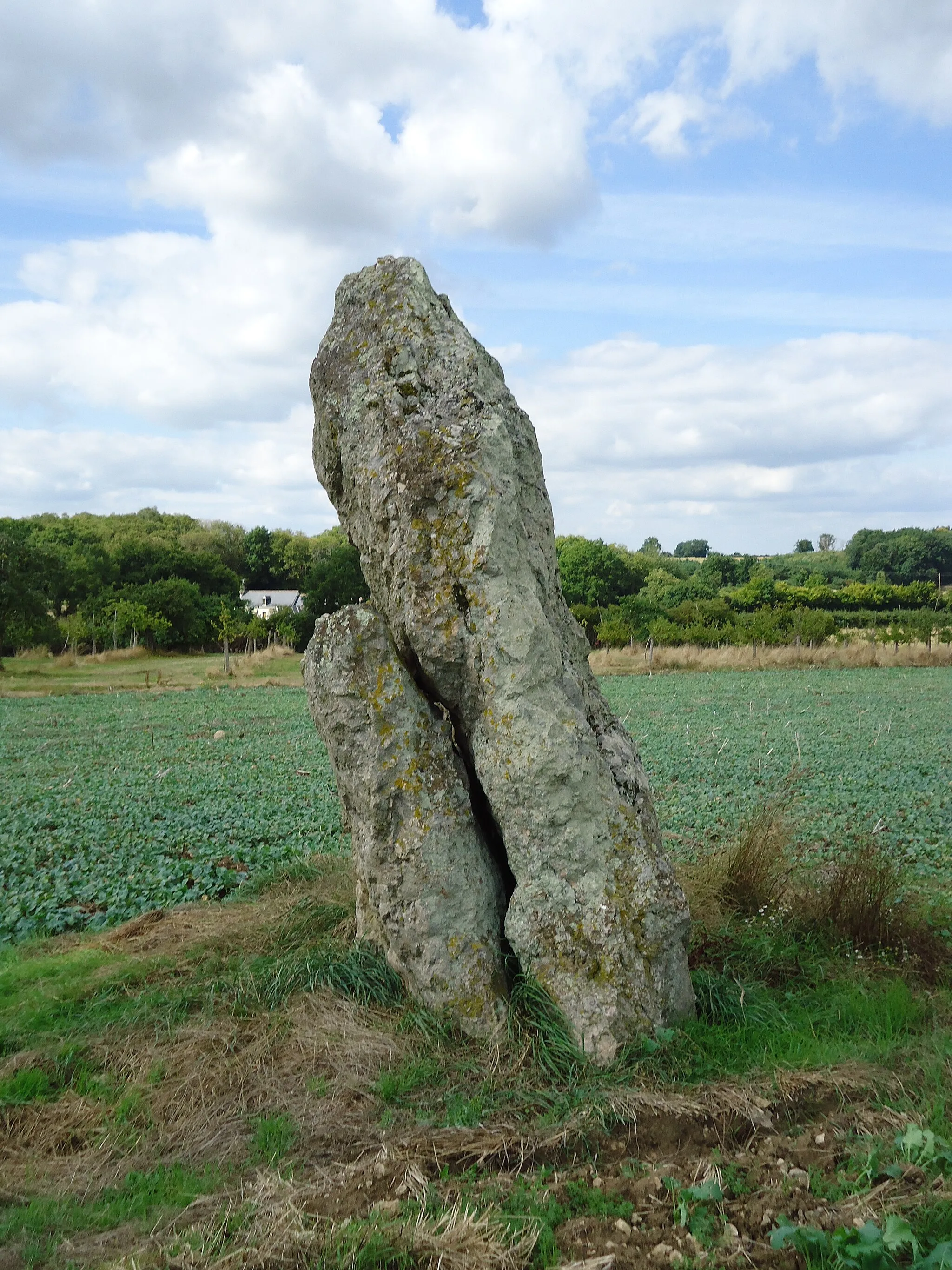 Photo showing: Menhir de Gobianne - Commune de Chahaignes (72)