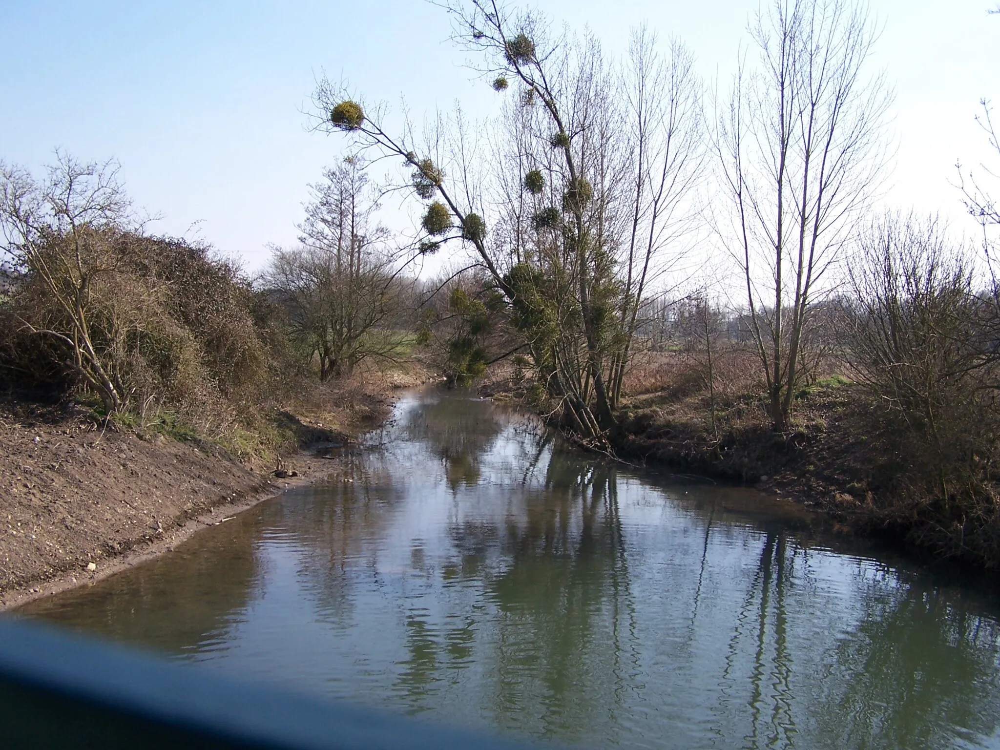 Photo showing: La Brenne, sur la commune d'Auzouer-en-Touraine, près de Villedômer