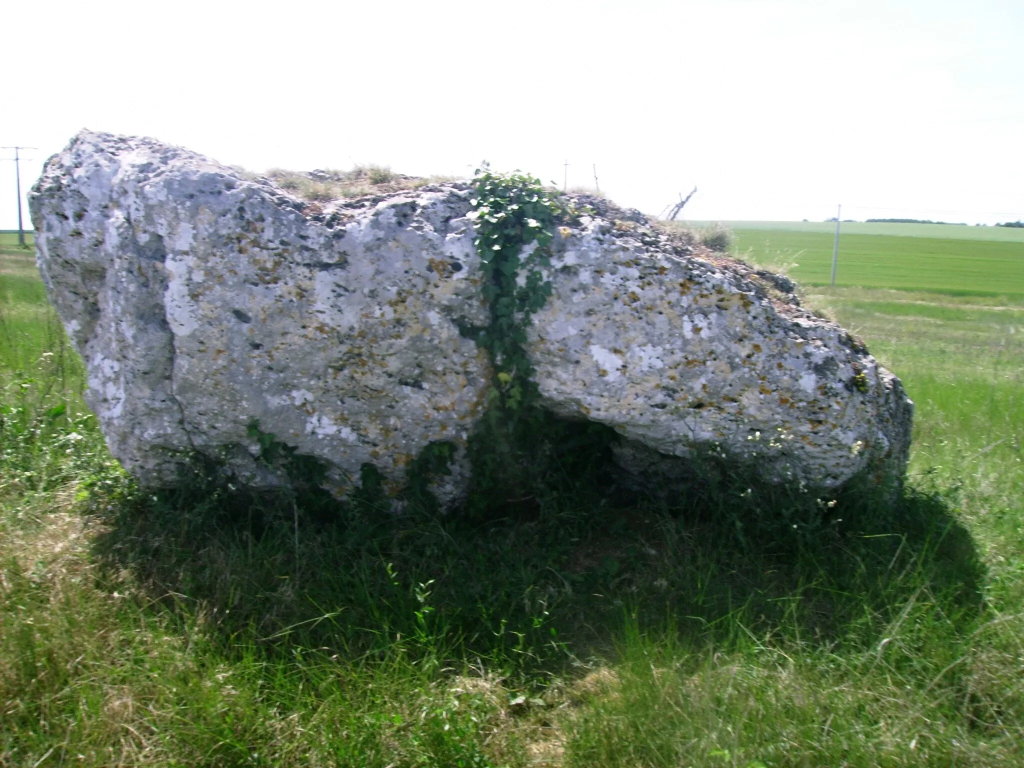 Photo showing: Dolmen du Bourg Neuf, à Tripleville (Loir-et-Cher, France)