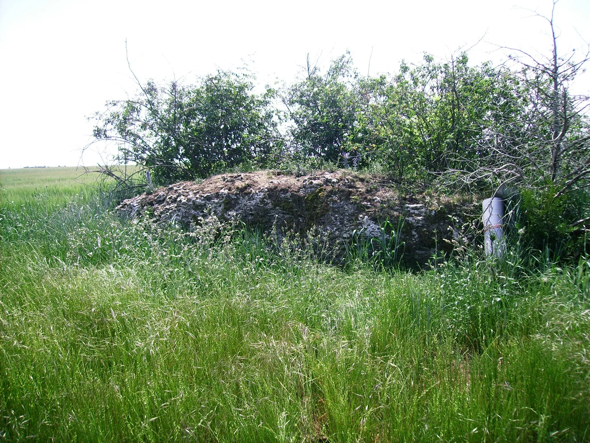 Photo showing: Tripleville, Loire et Cher, mégalithe : le Gros Perron.