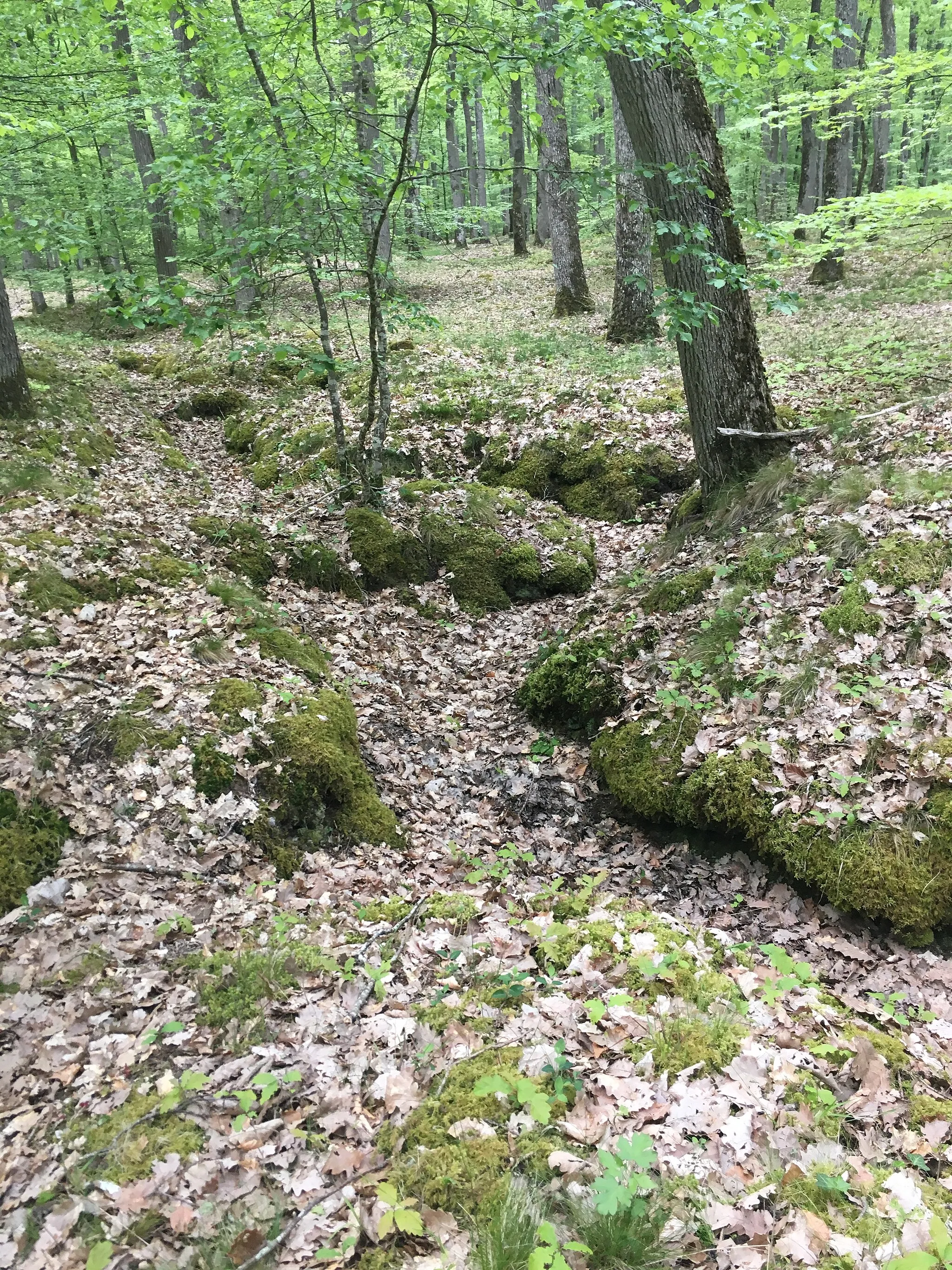 Photo showing: Vue des tranchées d'entraînement des Sablonnières, inscrit "monument historique" par arrêté du 15 avril 2015.