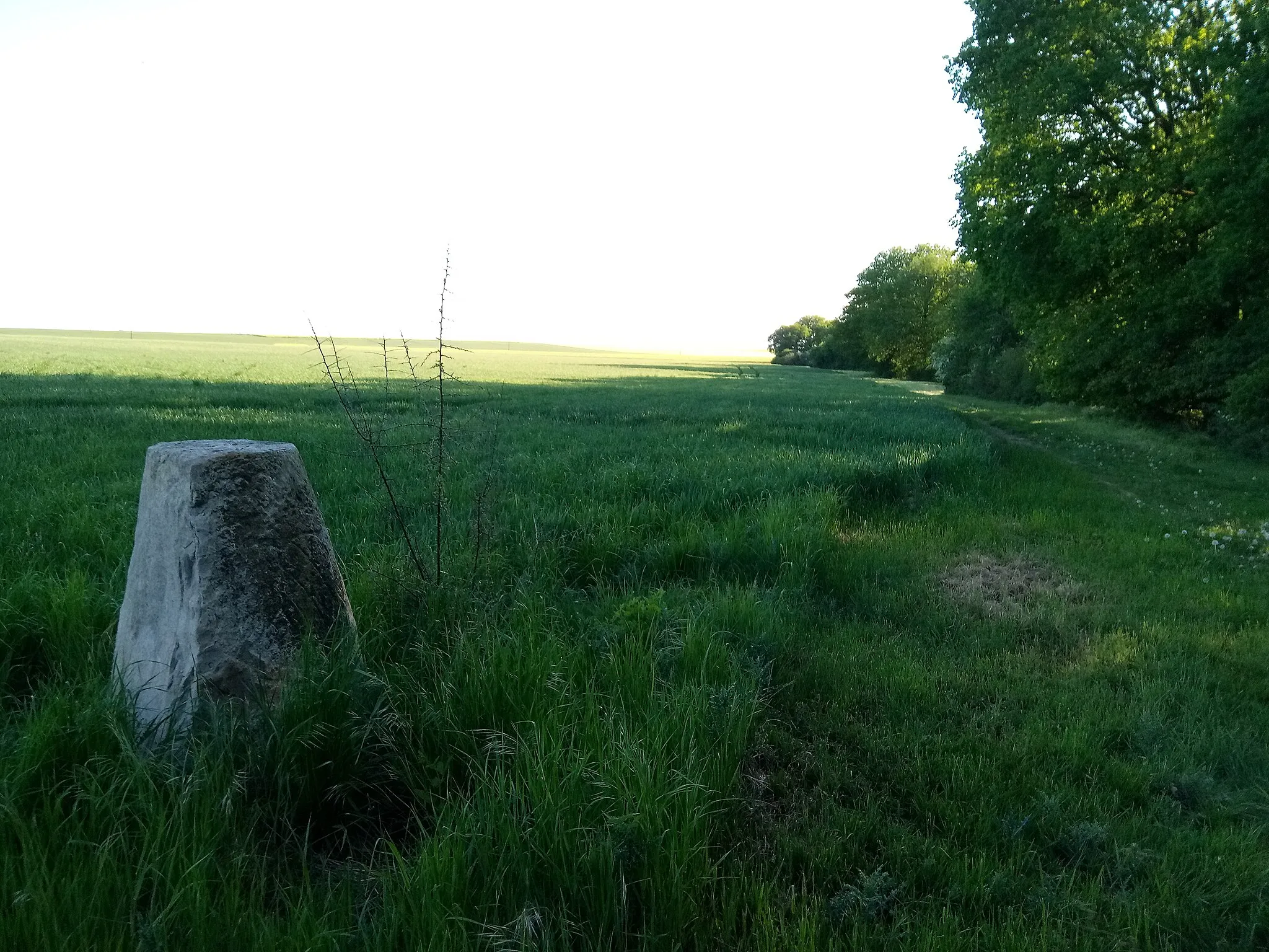 Photo showing: Borne 6/6 située à Chartainvilliers. Les bornes servaient à délimiter la propriété du seigneur de Maintenon (Adrien Maurice de Noailles, l'époux de Françoise Charlotte d'Aubigné, nièce de Madame de Maintenon) de celle du chapitre de Chartres. Trois autres bornes sont situées sur le territoire de la commune de Bouglainval.