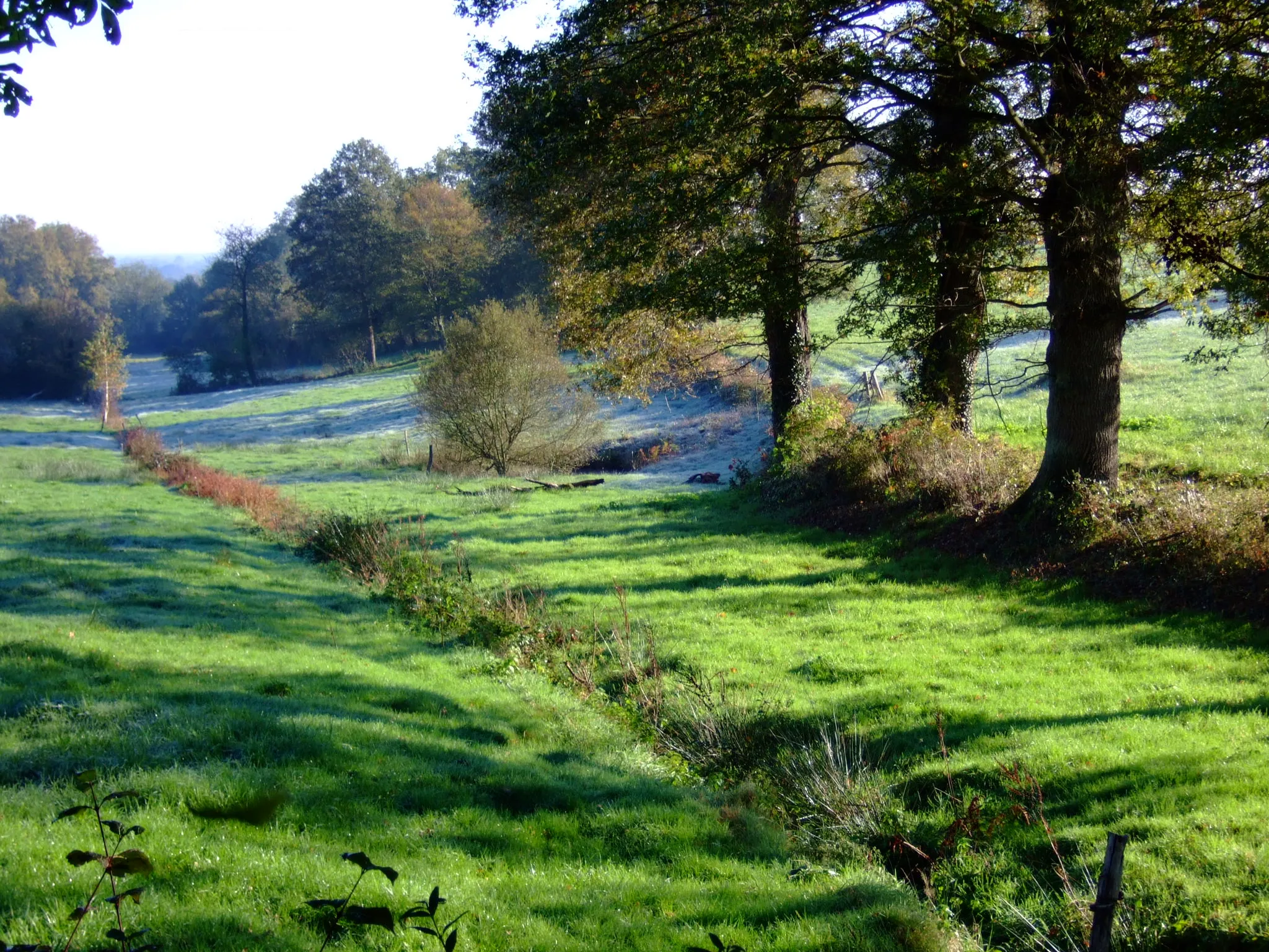 Photo showing: Paysage rural du Boischaut sud à Reigny, près du hameau de Maugenest - Photo amateur prise par moi-même