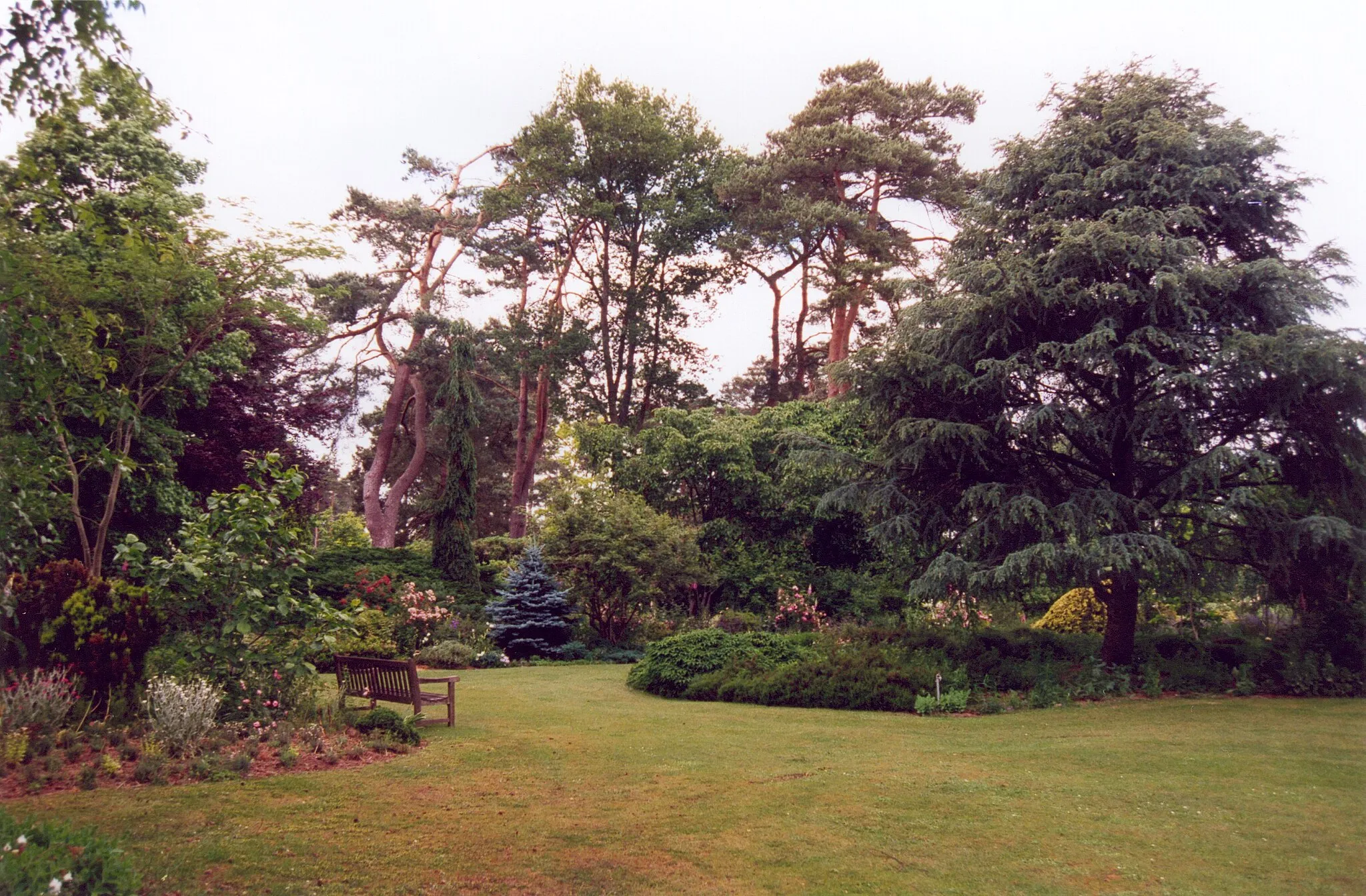 Photo showing: France Loiret Ingrannes Arboretum des Grandes Bruyères

Photographie prise par GIRAUD Patrick