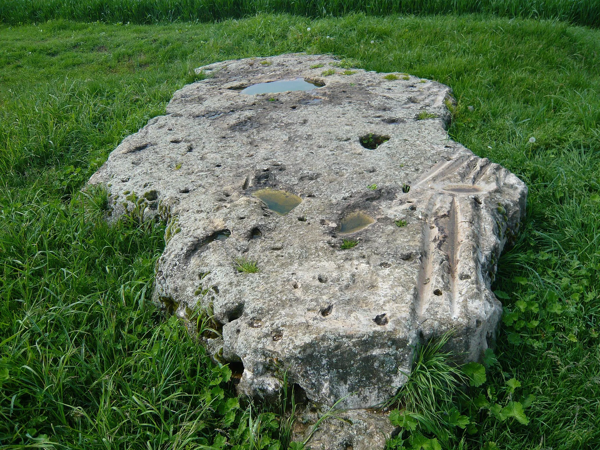 Photo showing: Polissoir Pinte de Saint-Martin, D150 route de Vovelles, Corancez, Eure-et-Loir (France).