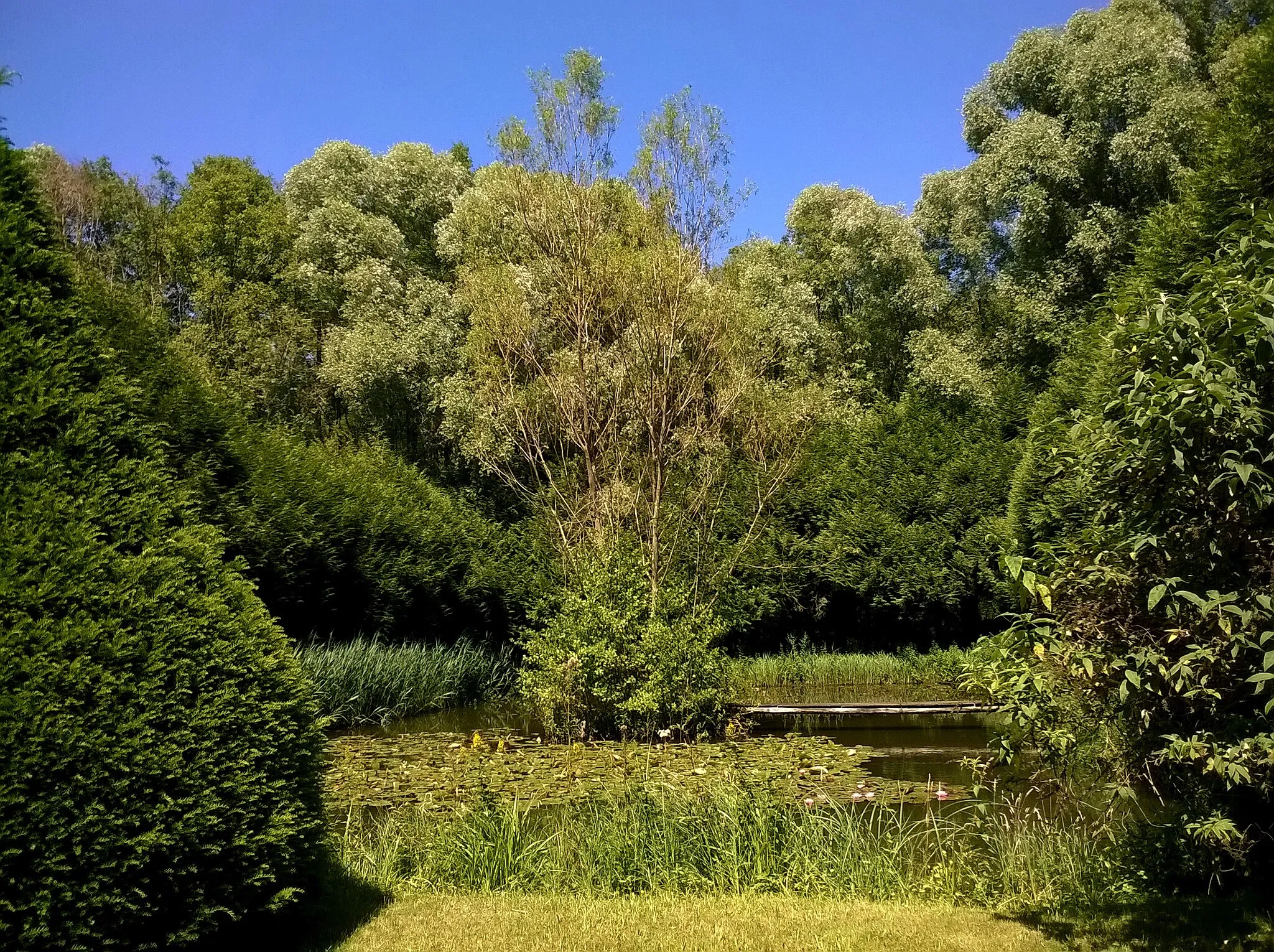 Photo showing: Eure-Et- Loir Droue-Sur-Drouette La Drouette Mare Aux Nenuphars 08072016