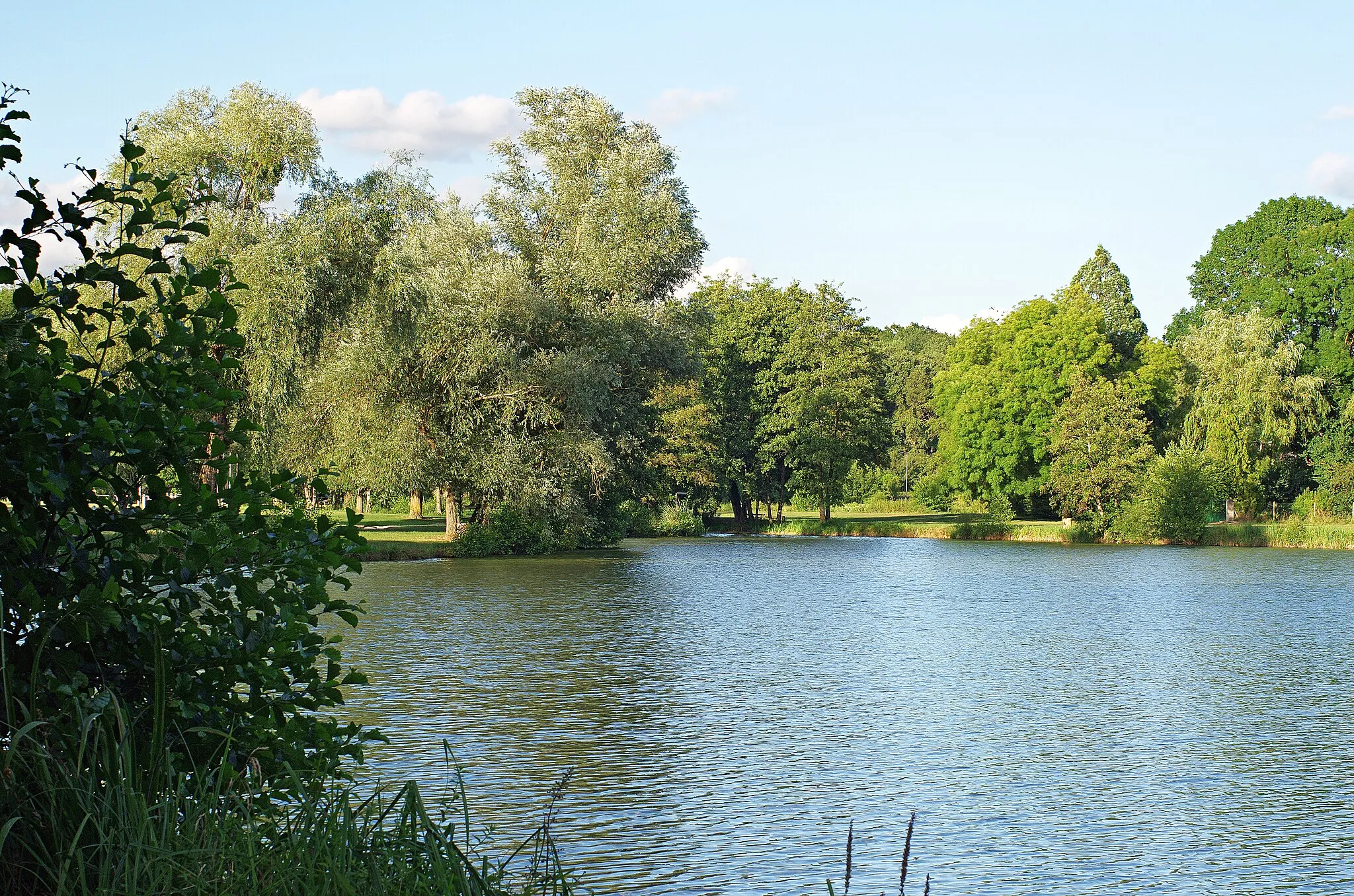 Photo showing: Monthou-sur-Cher (Loir-et-Cher)

Etang communal de Monthou-sur-Cher.