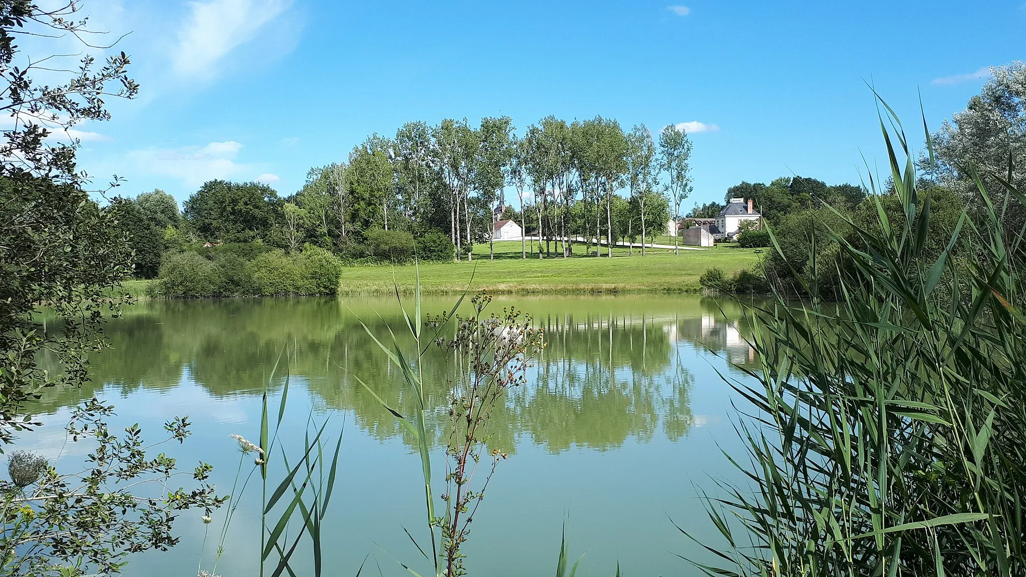 Photo showing: Etang situé près de la rue du lavoir