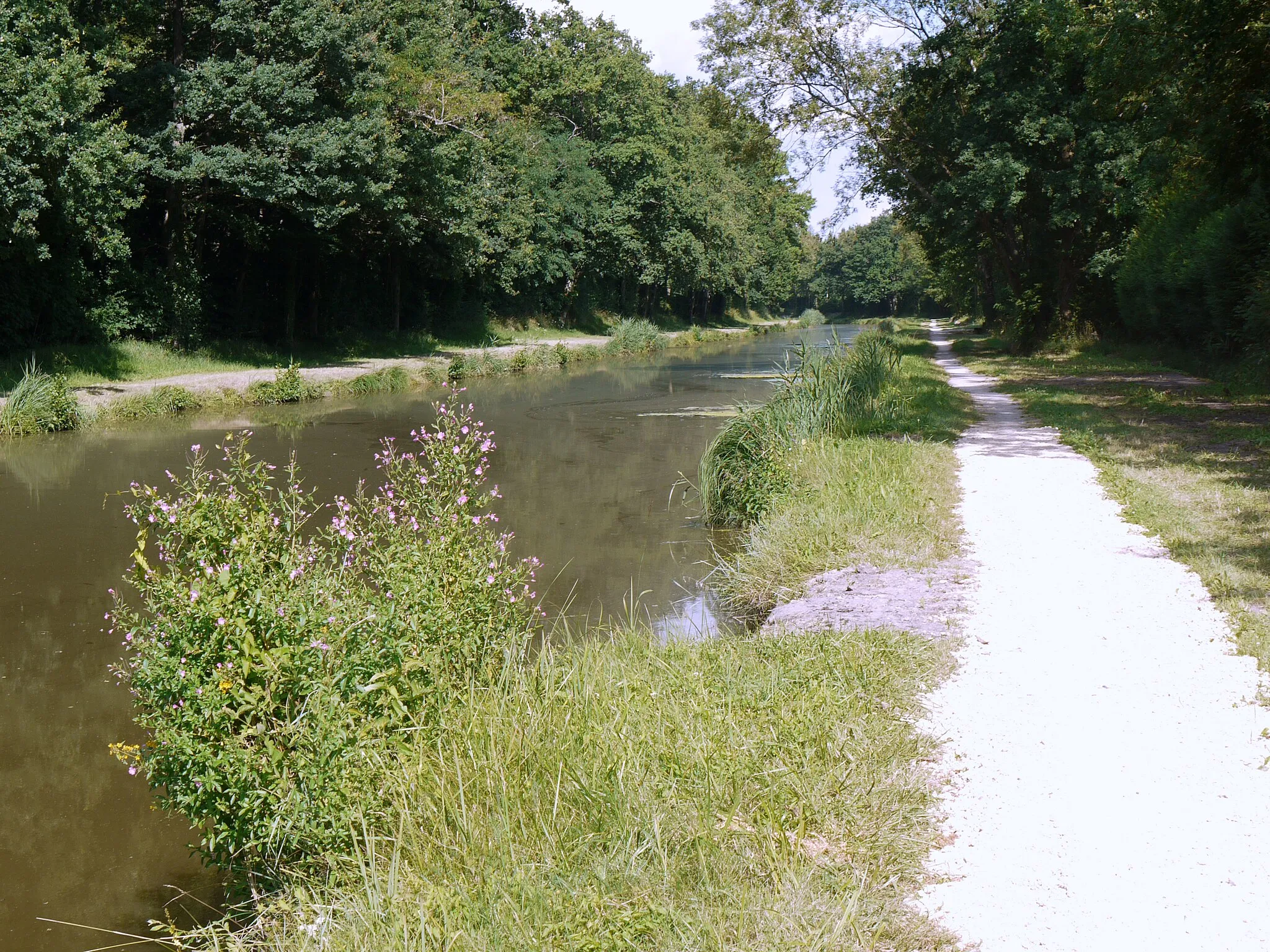 Photo showing: Canal d'Orléans near Combreux, France