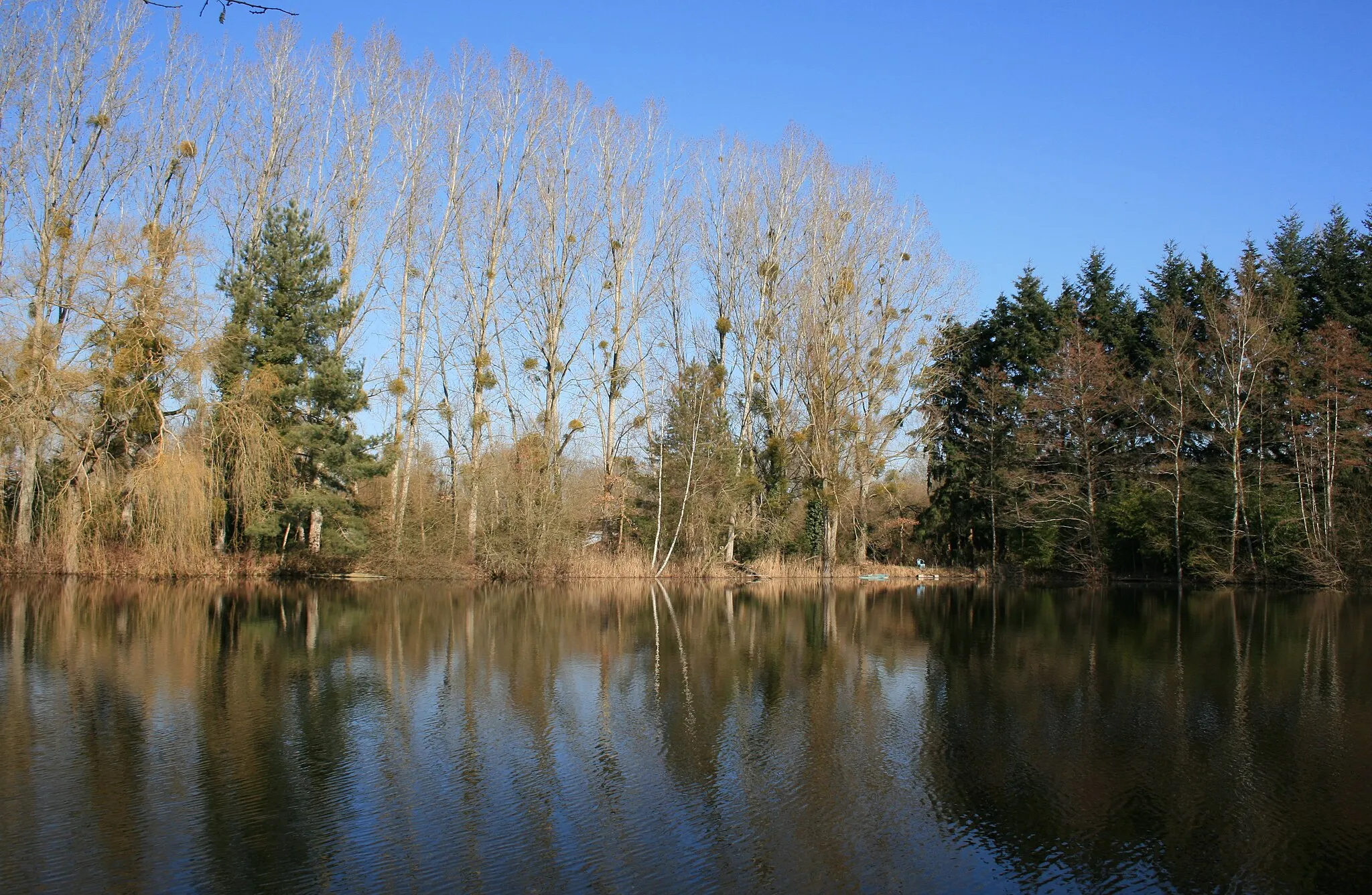 Photo showing: Etang sur la commune de Sully la Chapelle (Loiret 45)