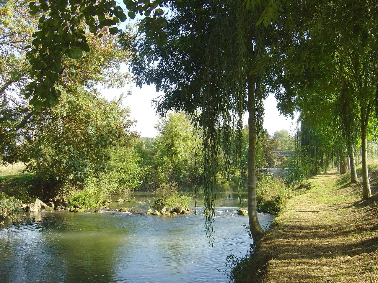 Photo showing: Rives de la Cisse à Limeray - Indre et Loire - France