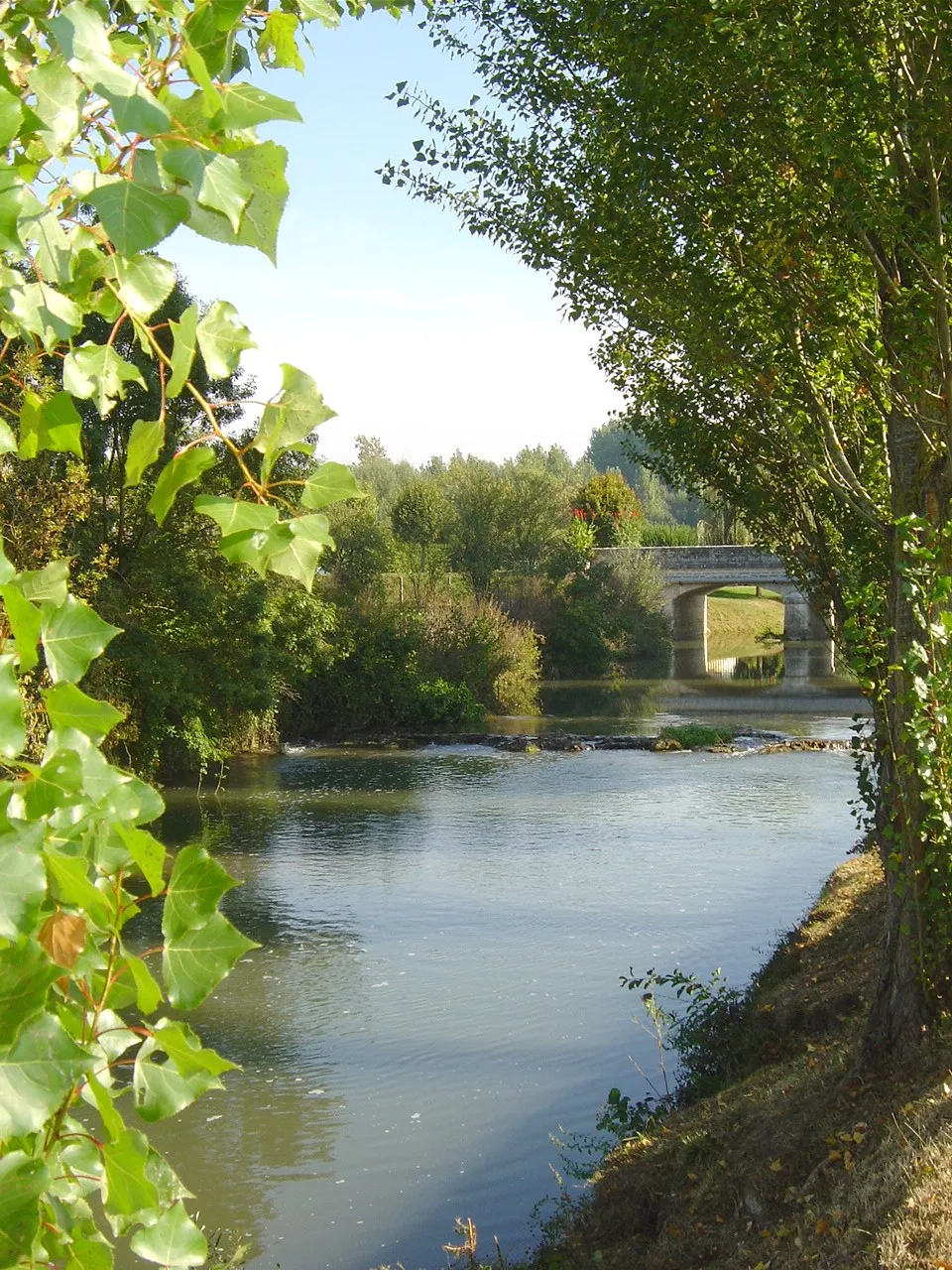 Photo showing: Rives de la Cisse à Limeray - Indre et Loire - France