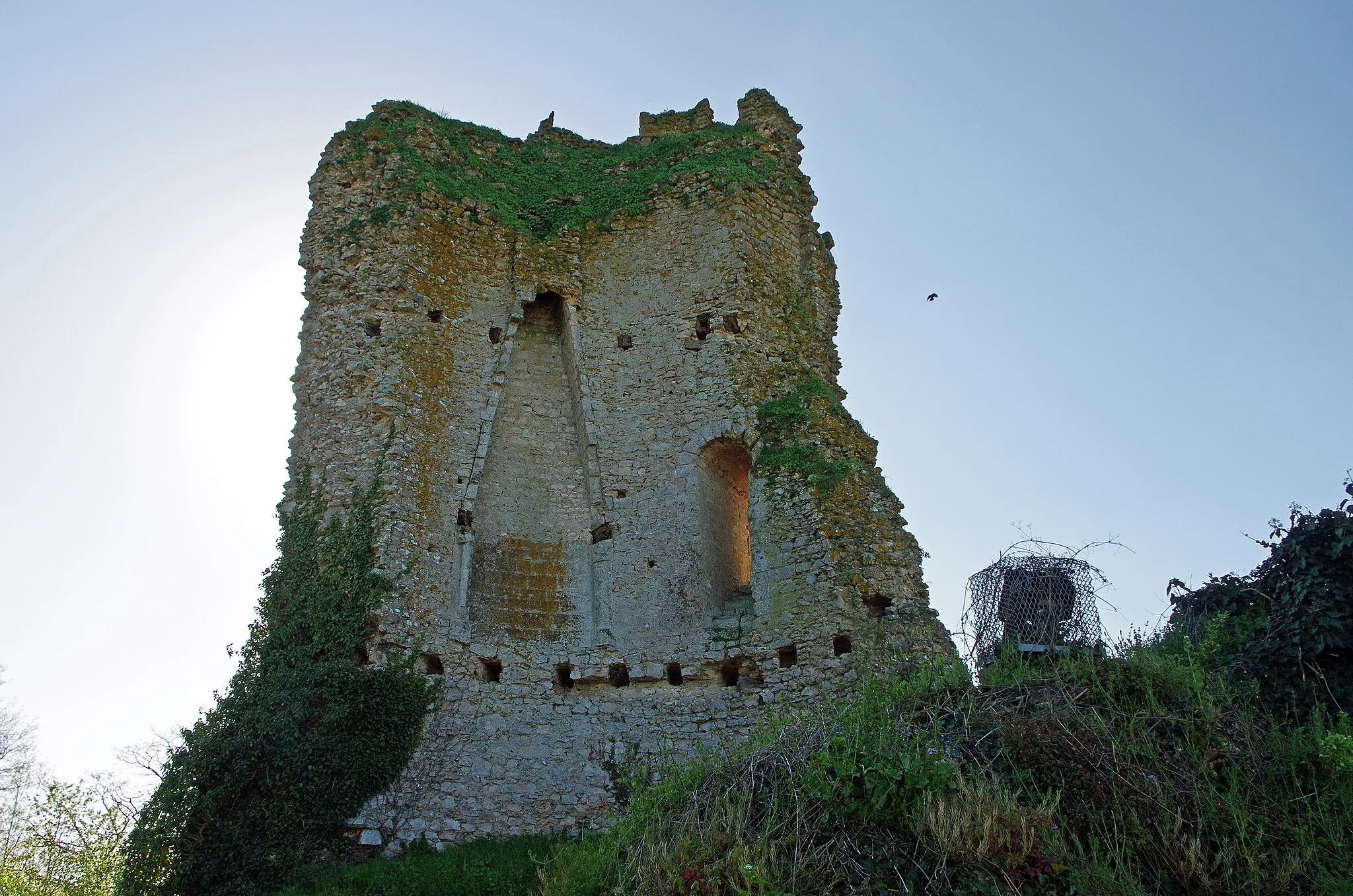 Photo showing: Coulommiers-la-Tour (Loir-et-Cher)

Le site se trouve à quelques kilomètres à l’est de Vendôme dans une partie déprimée permettant de recueillir des eaux alimentant les douves circulaires.
Le village possède une tour médiévale qui se situait à la frontière du comté de Vendome et du comté de Blois.
Moins élaborée que le donjon des Montils, cette tour date probablement d'avant 1160-1170. La construction du Donjon (avec salle basse et salle haute) remonte certainement au XIème siècle avec des compléments de la fin du XIIème siècle.  Le donjon s'élève sur une motte artificielle et  était protègé par une enceinte en maçonnerie  formant une première ligne de défense. La seconde ligne de défense est contituée de douves remplies d'eau, alimentées par un petit ruisseau.
Le site a été nettoyé et les fossés restaurés et remis en eau entre 1976 et 1983.
Bien que faisant partie du Vendômois la seigneurie de Coulommiers relevait des sires de Beaugency. 
A partir du XIème siècle l'Abbaye de la Trinité de Vendôme y possède de nombreux domaines.
Fin XIe siècle (vers février 1096), le comte de Blois Etienne, venait séjourner avec Adèle, son épouse, au château de Coulommiers, avant son départ pour Jérusalem.
En 1329, le rattachement de la seigneurie de Coulommiers au comté de Vendome est définitif.
Par un acte en date du 18 octobre 1631, le sacristain du baptiseur Louis Lambert s'adresse ainsi aux "gens de Selommes et gens de Coulommiers" :

«  Le présent baptême, à cause qu'on allait en procession à Coulommiers, et que j’allions dire la messe, a esté différé à escrire jusqu’au jour de Saint Luc, le 18e  jour d'Octobre, au dit an par oubliance.»  On devait probablement se rendre ainsi chaque année en Coulommiers pour la fête patronale qui est la Décollation de Saint-Jean-Baptiste, et tombe le 29 Août.