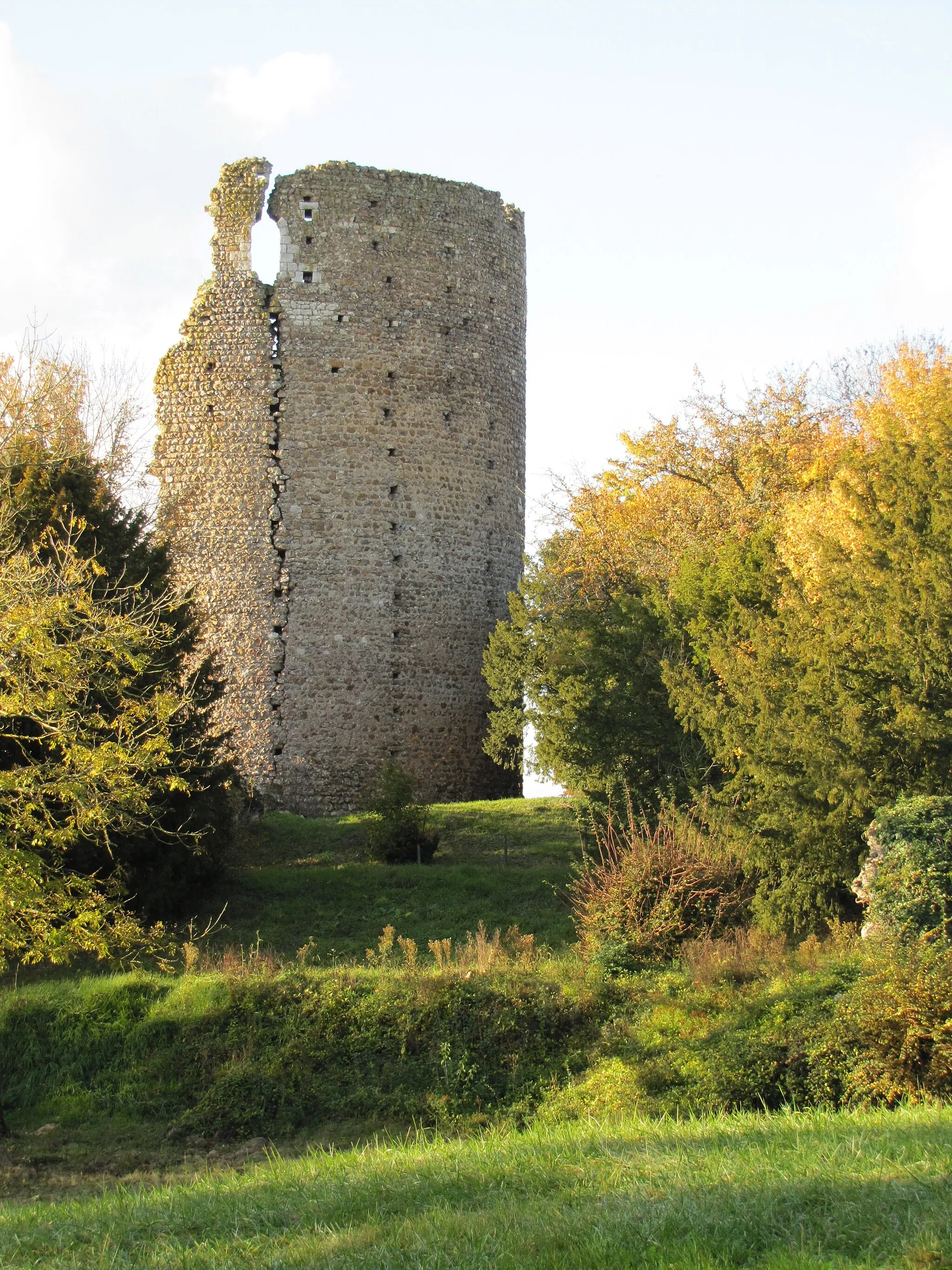 Photo showing: ruine du château