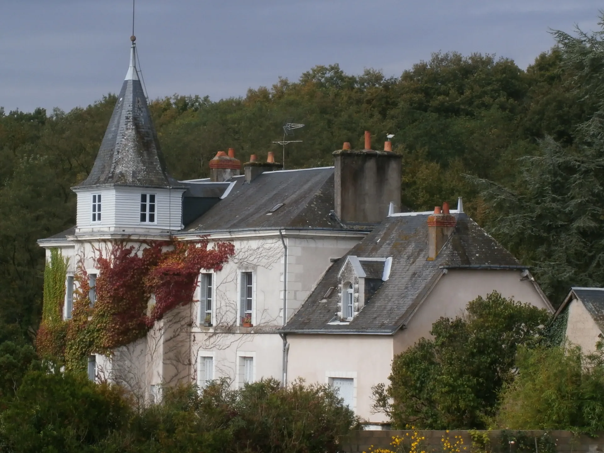 Photo showing: Manoir de Villepays à Reignac-sur-Indre