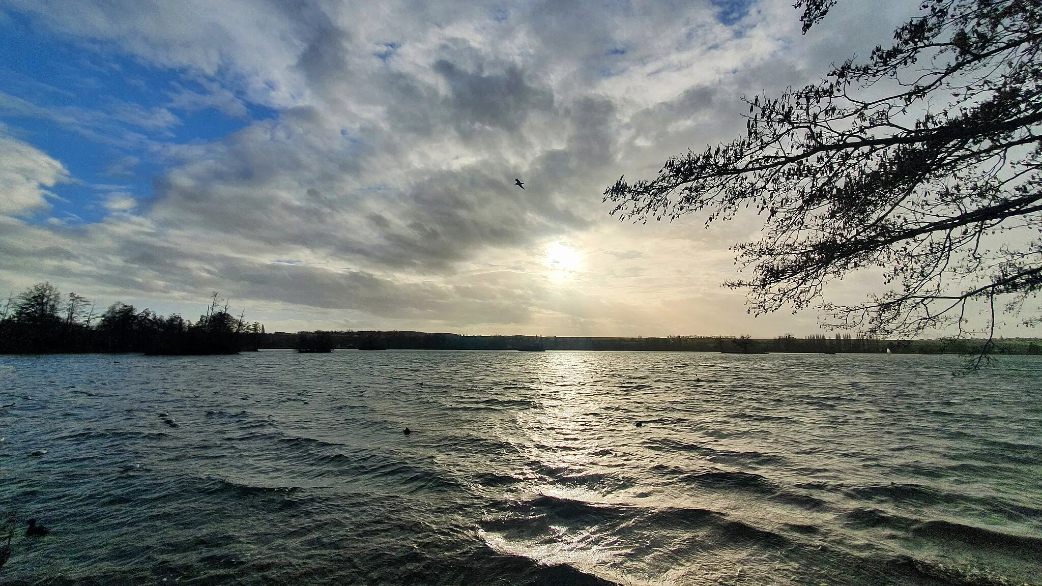 Photo showing: Plan d'eau de Mézières-Écluzelles depuis le sentier des Prairies.